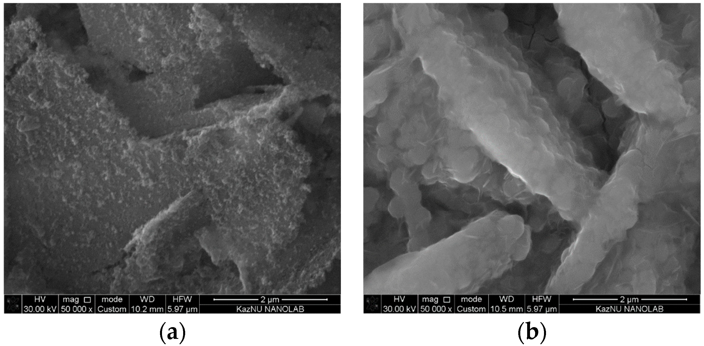 Chemengineering 06 00087 g005