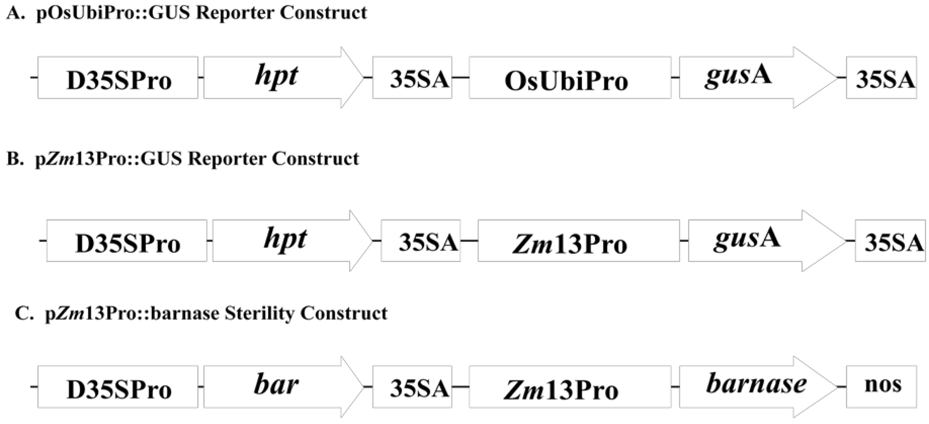 Agriculture 02 00295 g001