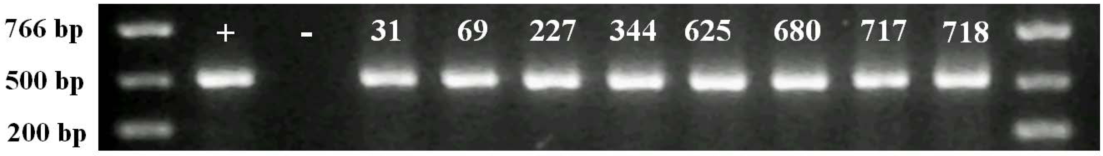 Agriculture 02 00295 g003