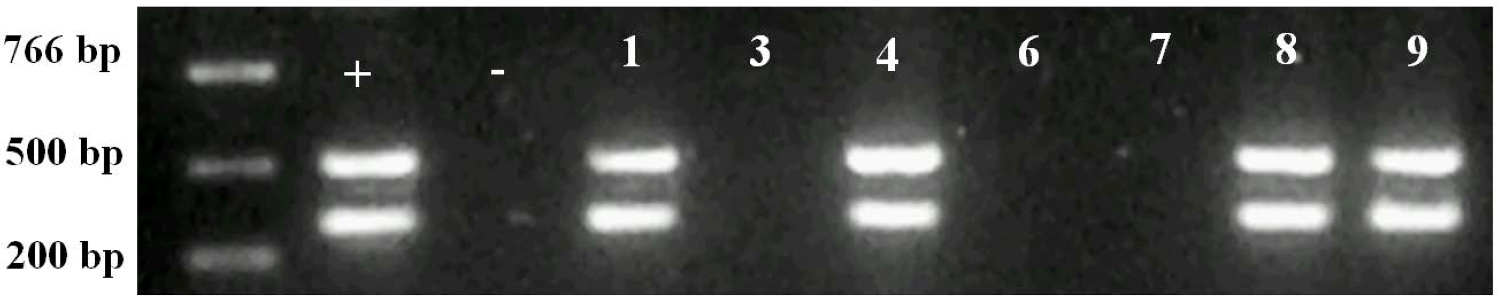 Agriculture 02 00295 g005