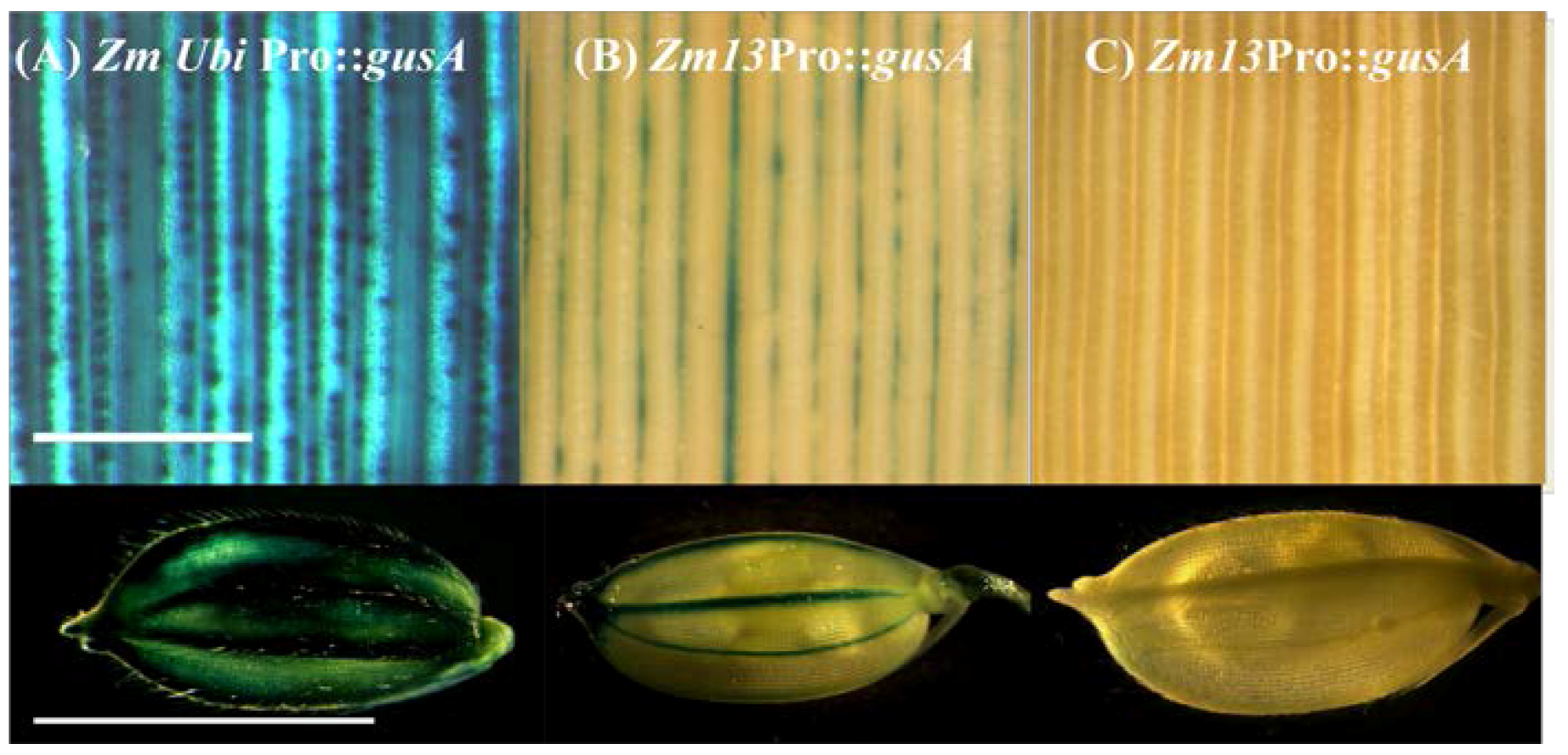 Agriculture 02 00295 g007