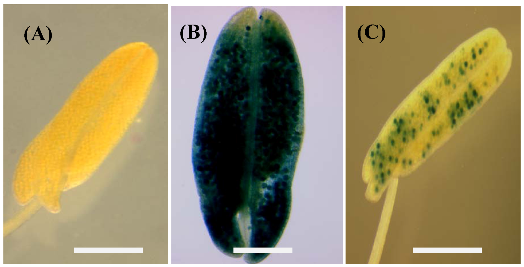Agriculture 02 00295 g008