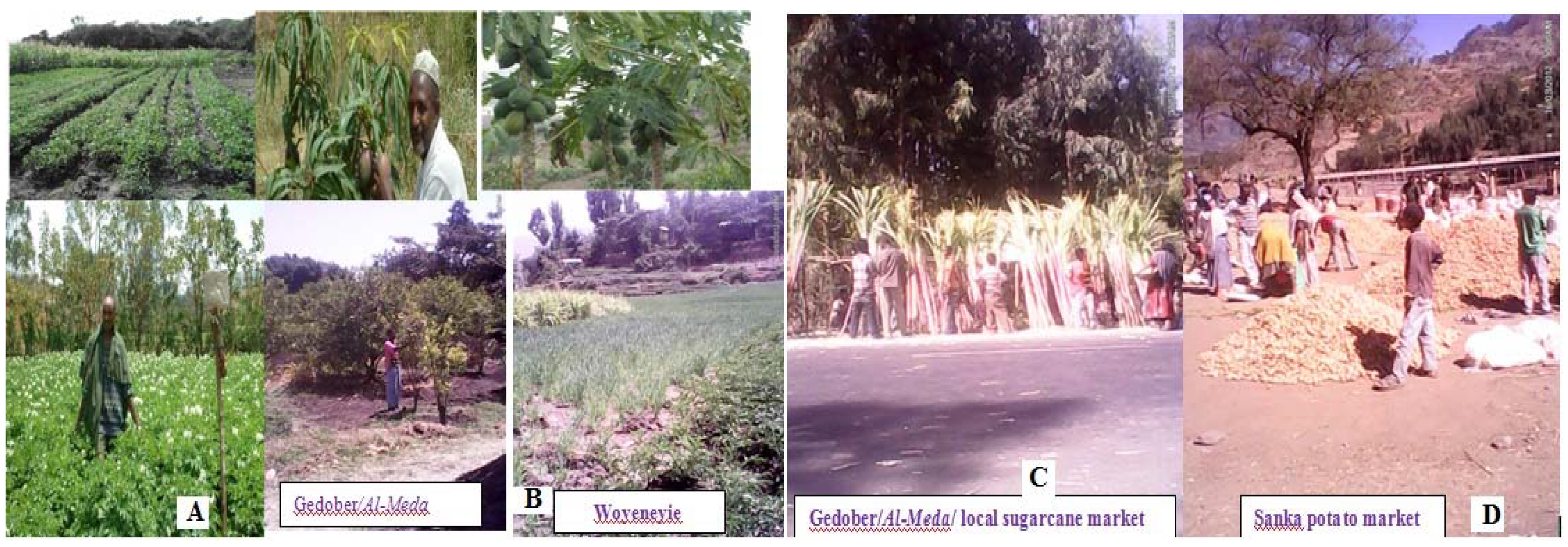 Agriculture 06 00027 g009
