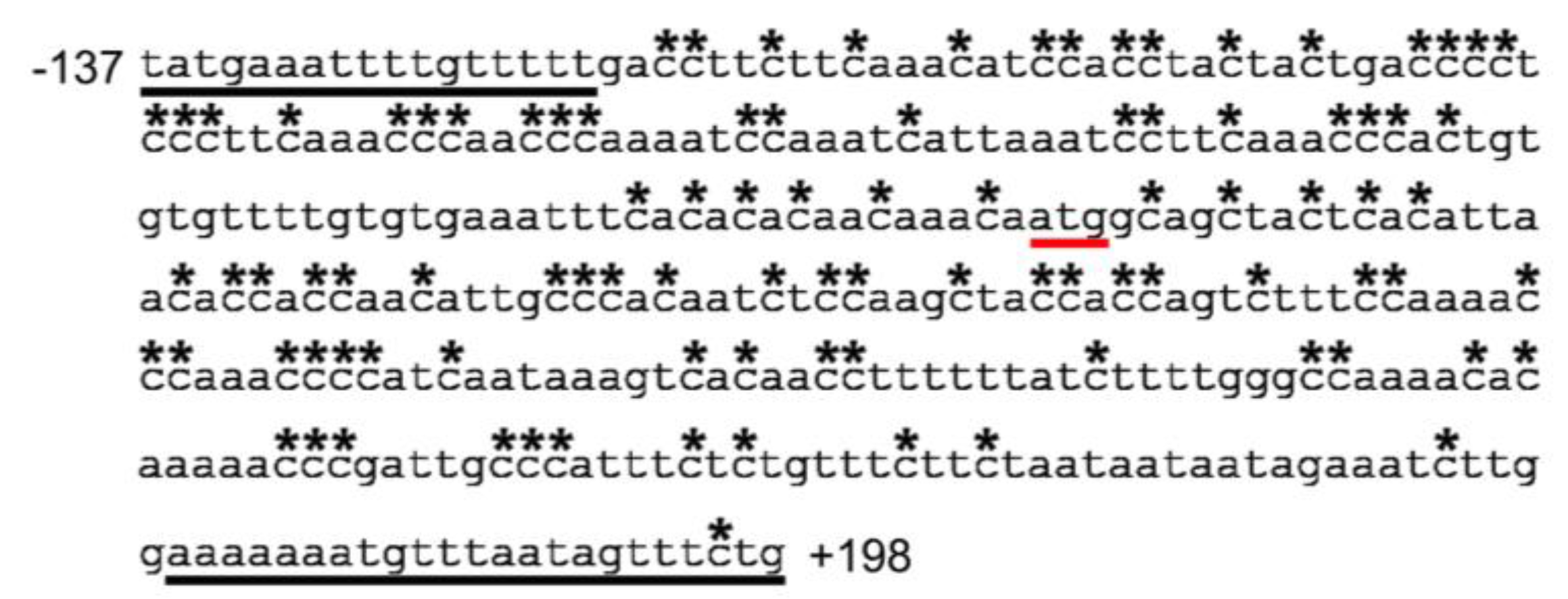 Agriculture 08 00017 g001