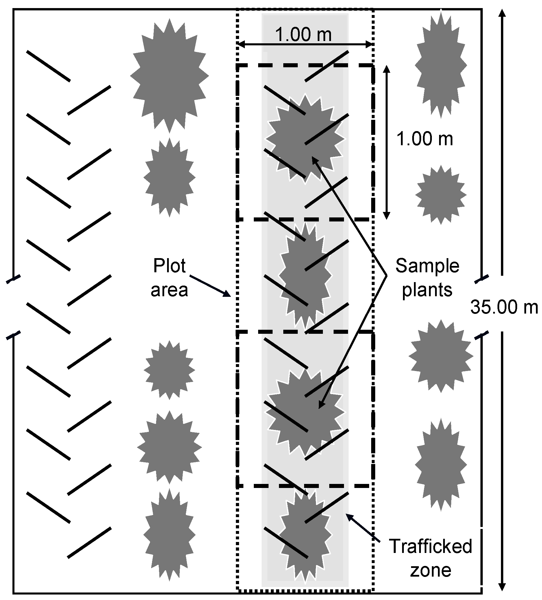 Agriculture 08 00148 g001