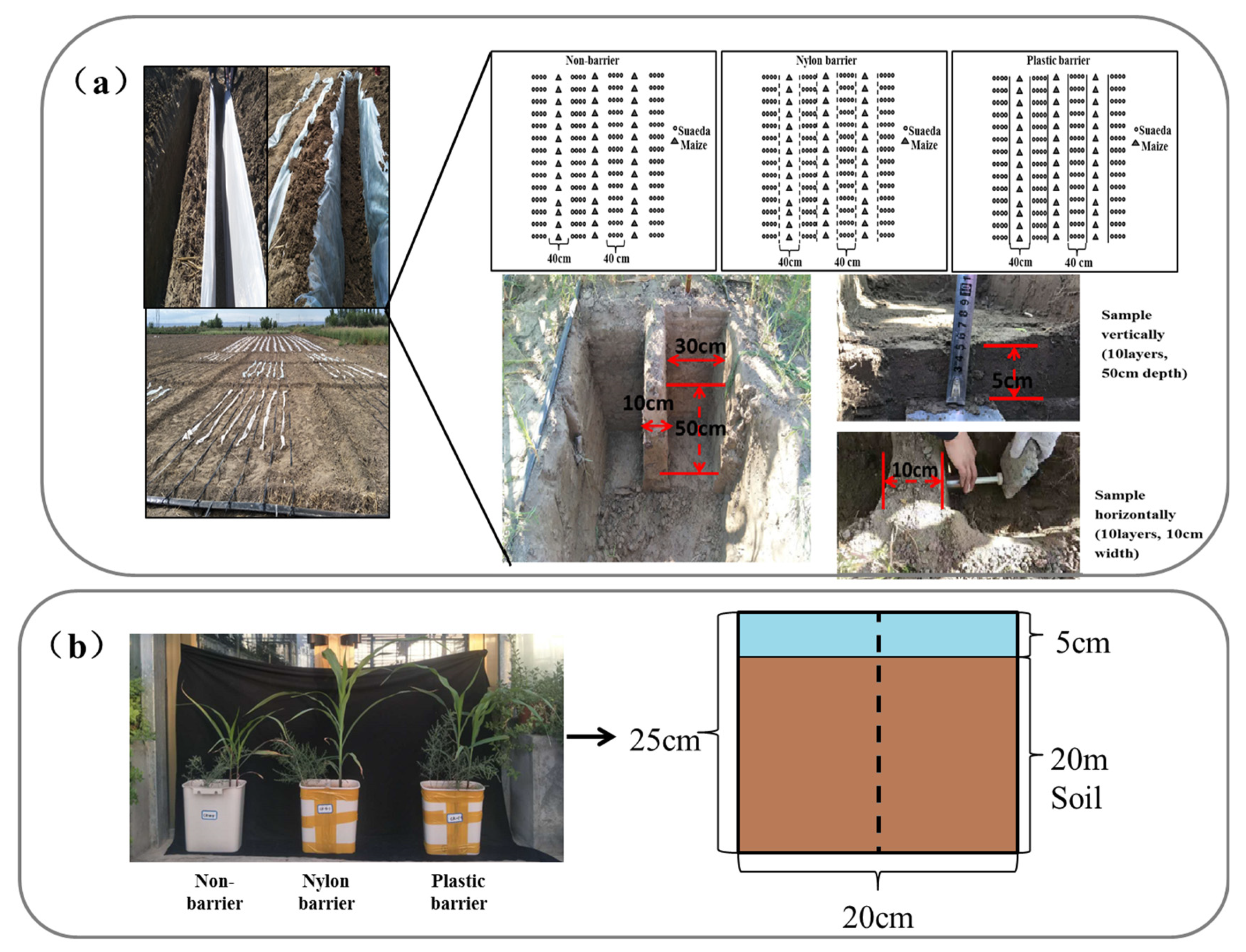 Agriculture 12 00107 g002