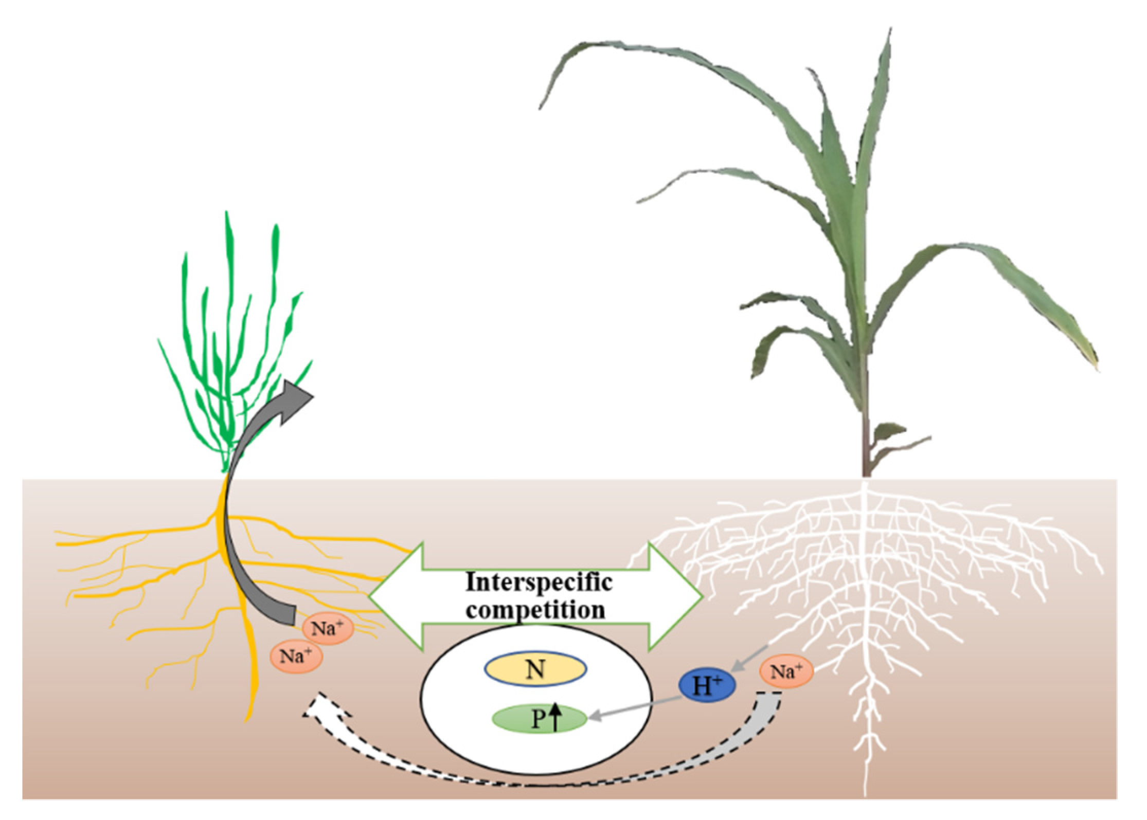Agriculture 12 00107 g007