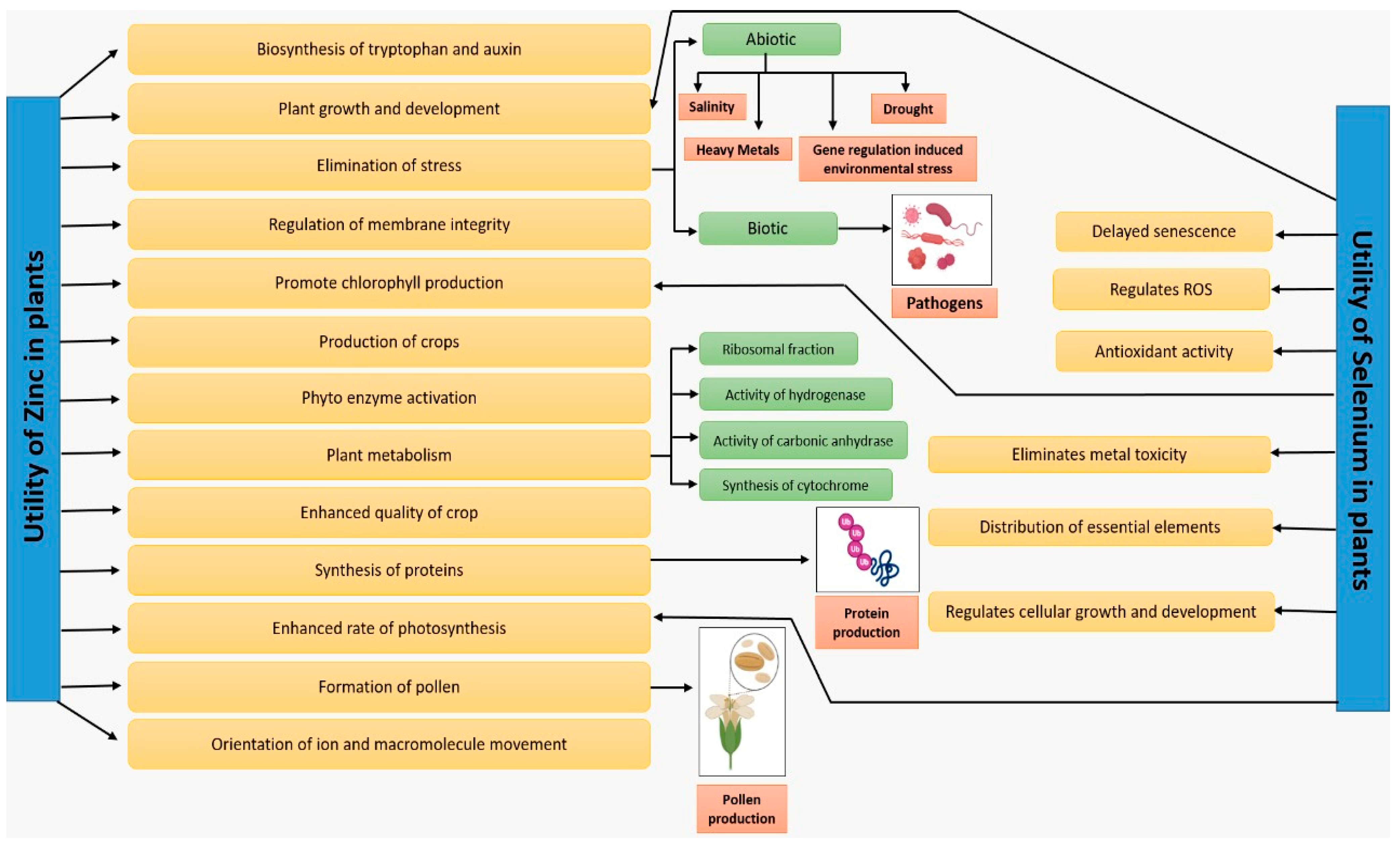Agriculture 12 01551 g002