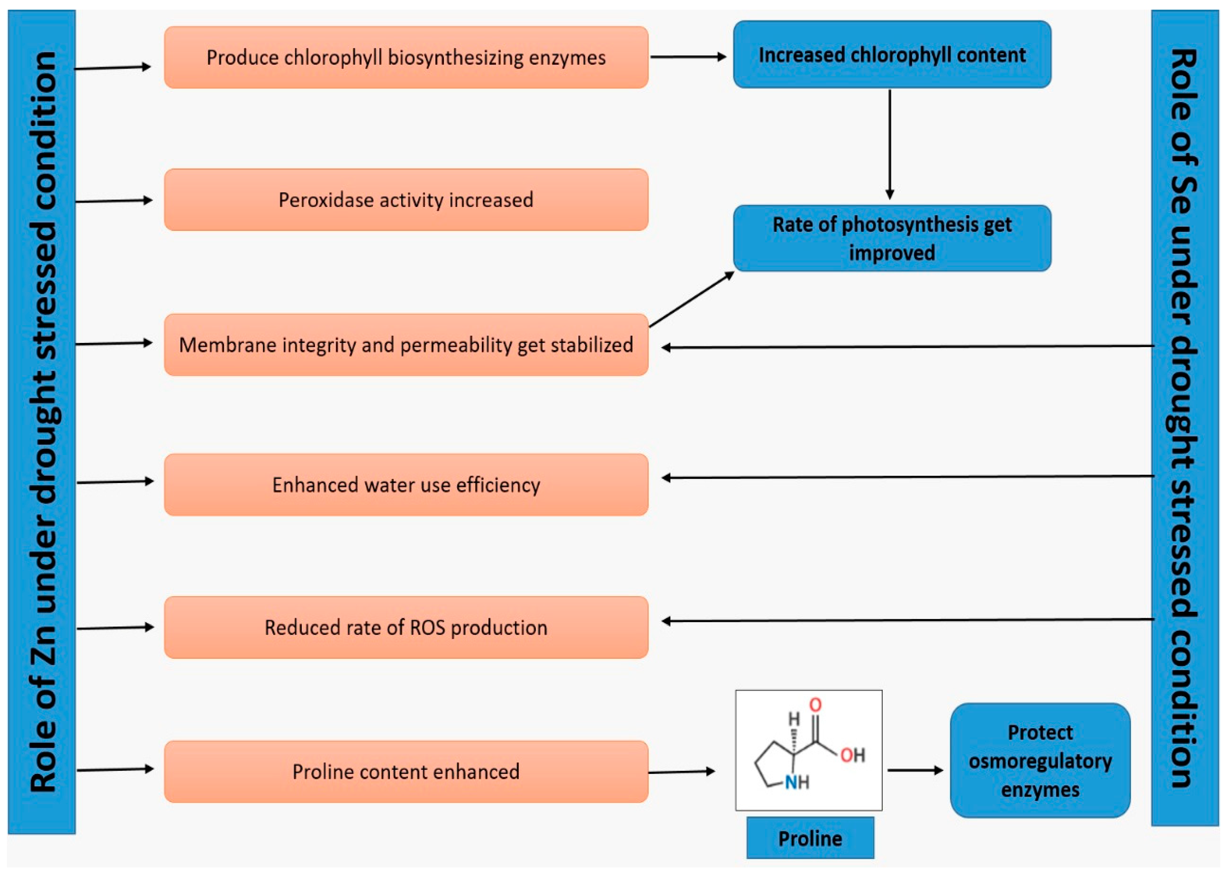 Agriculture 12 01551 g005