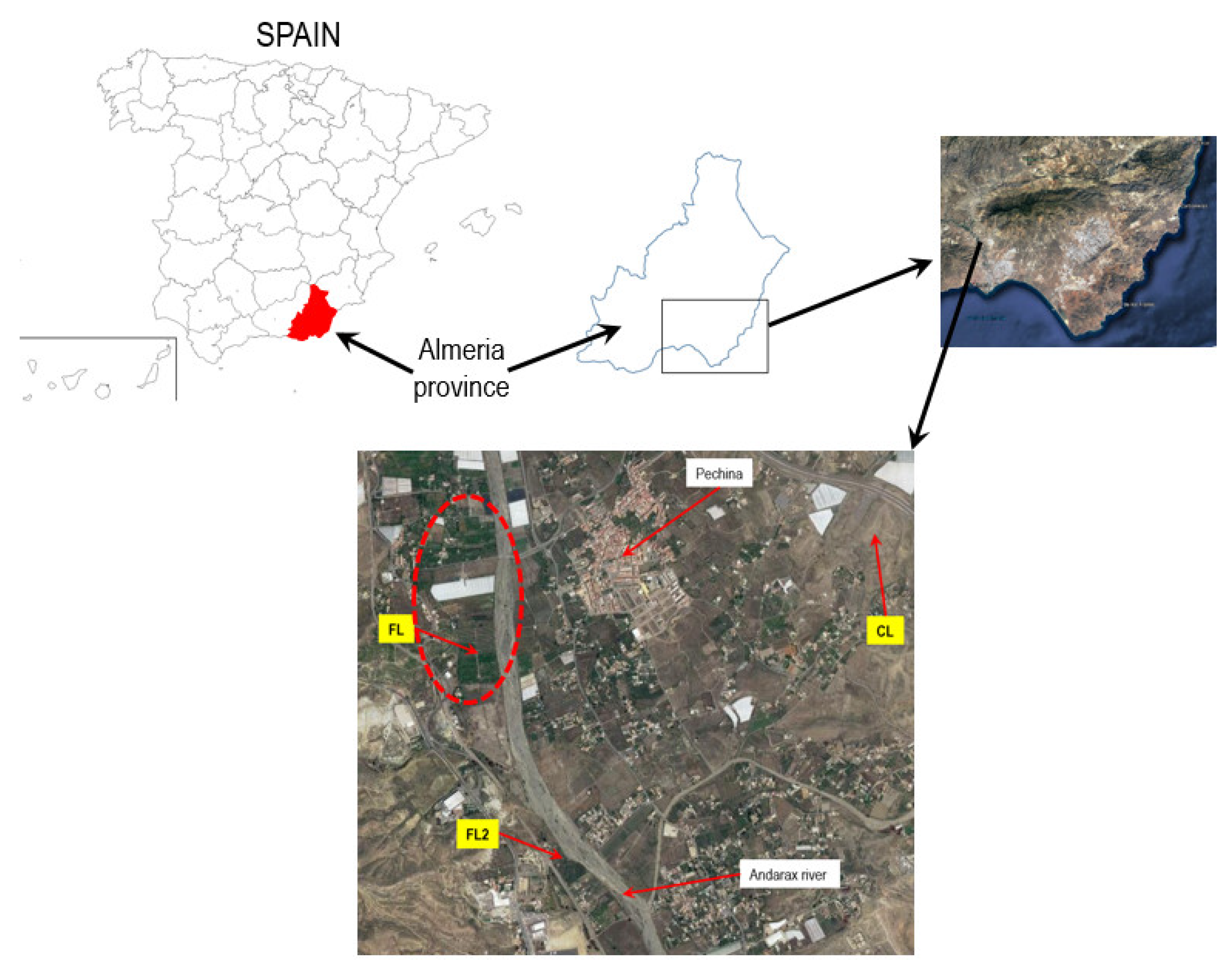 Agriculture 12 02138 g001