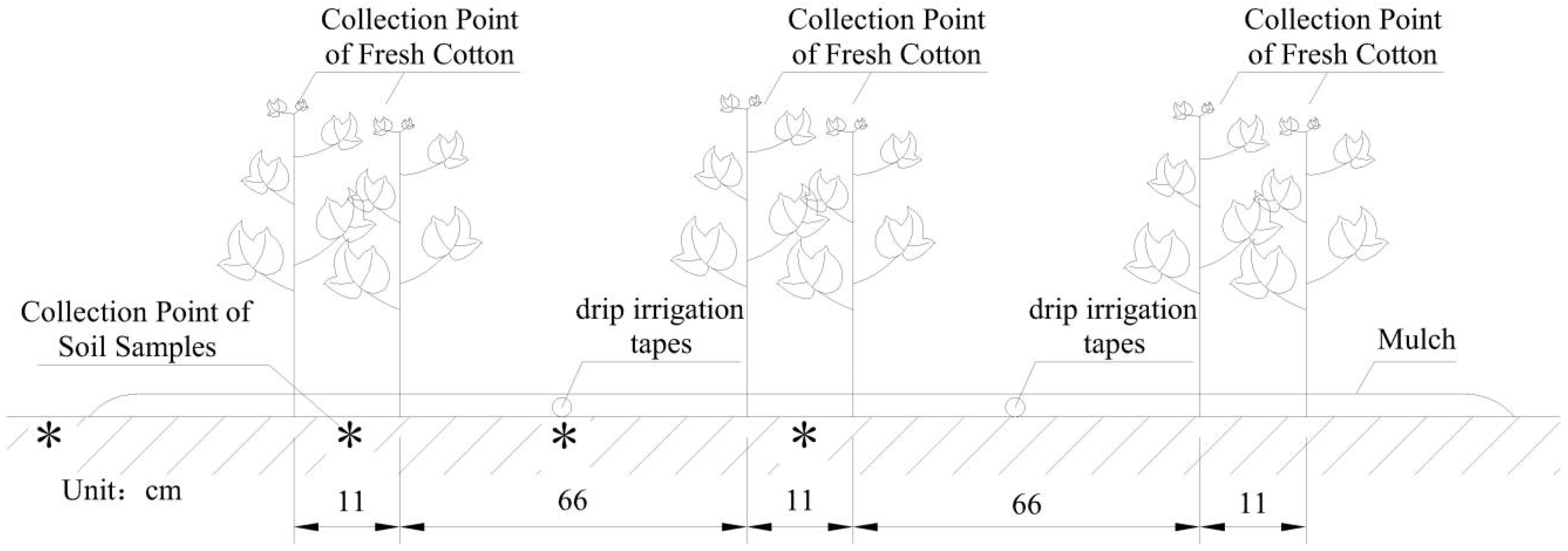 Agriculture 12 02167 g004
