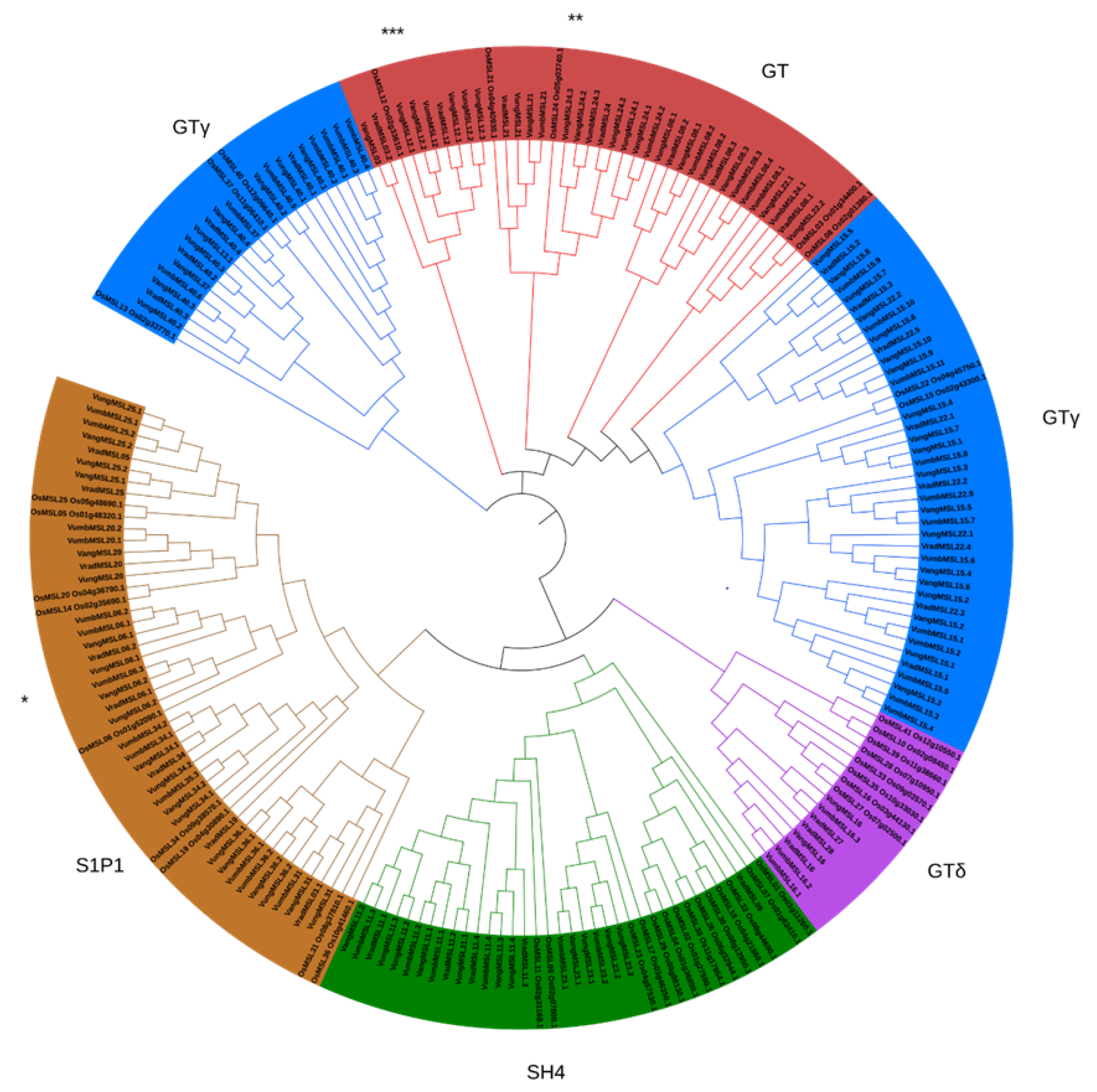Agriculture 12 02172 g001