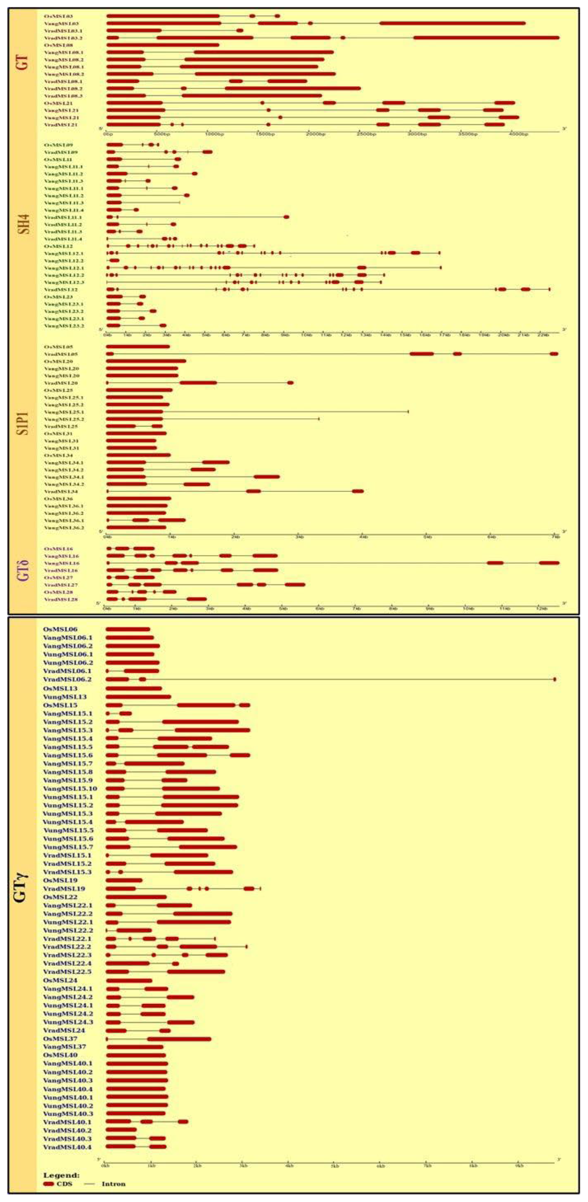 Agriculture 12 02172 g002