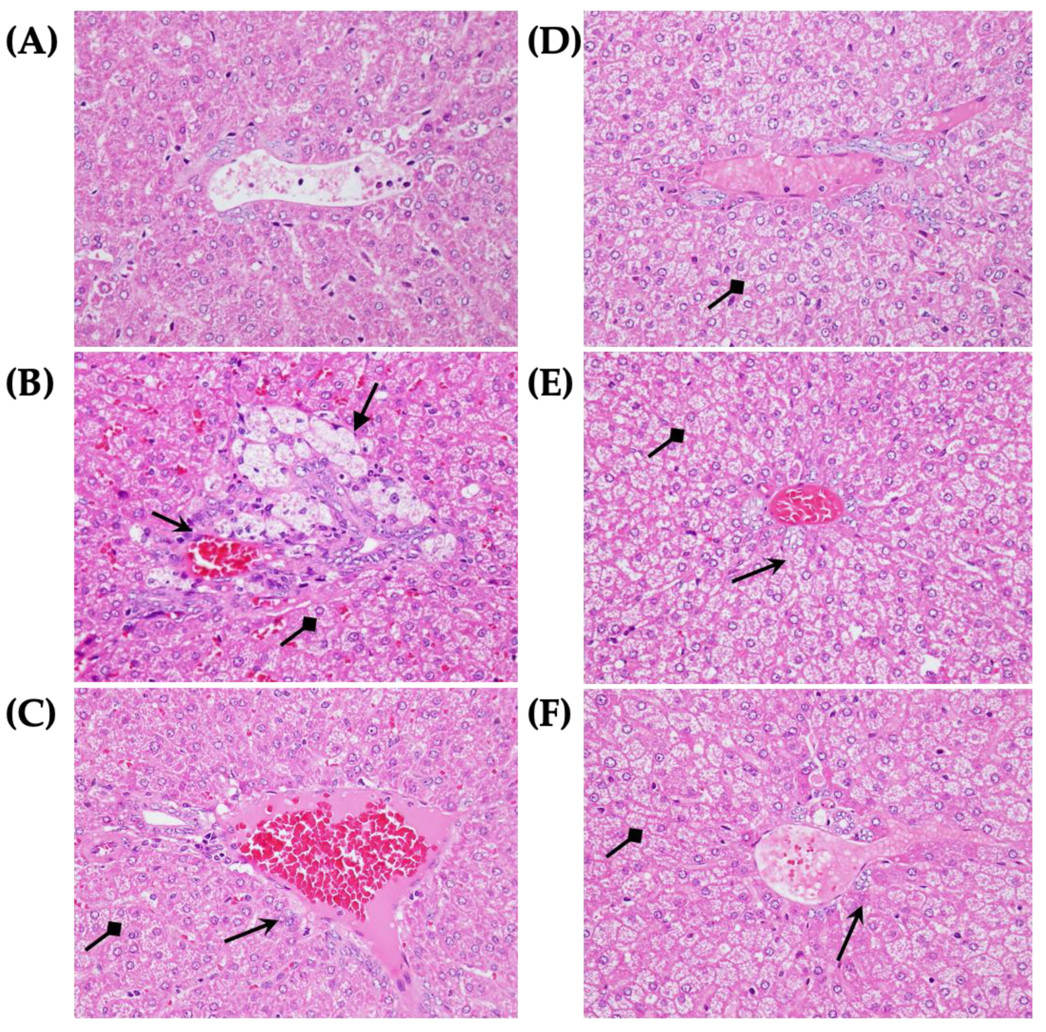 Agriculture 13 00535 g001