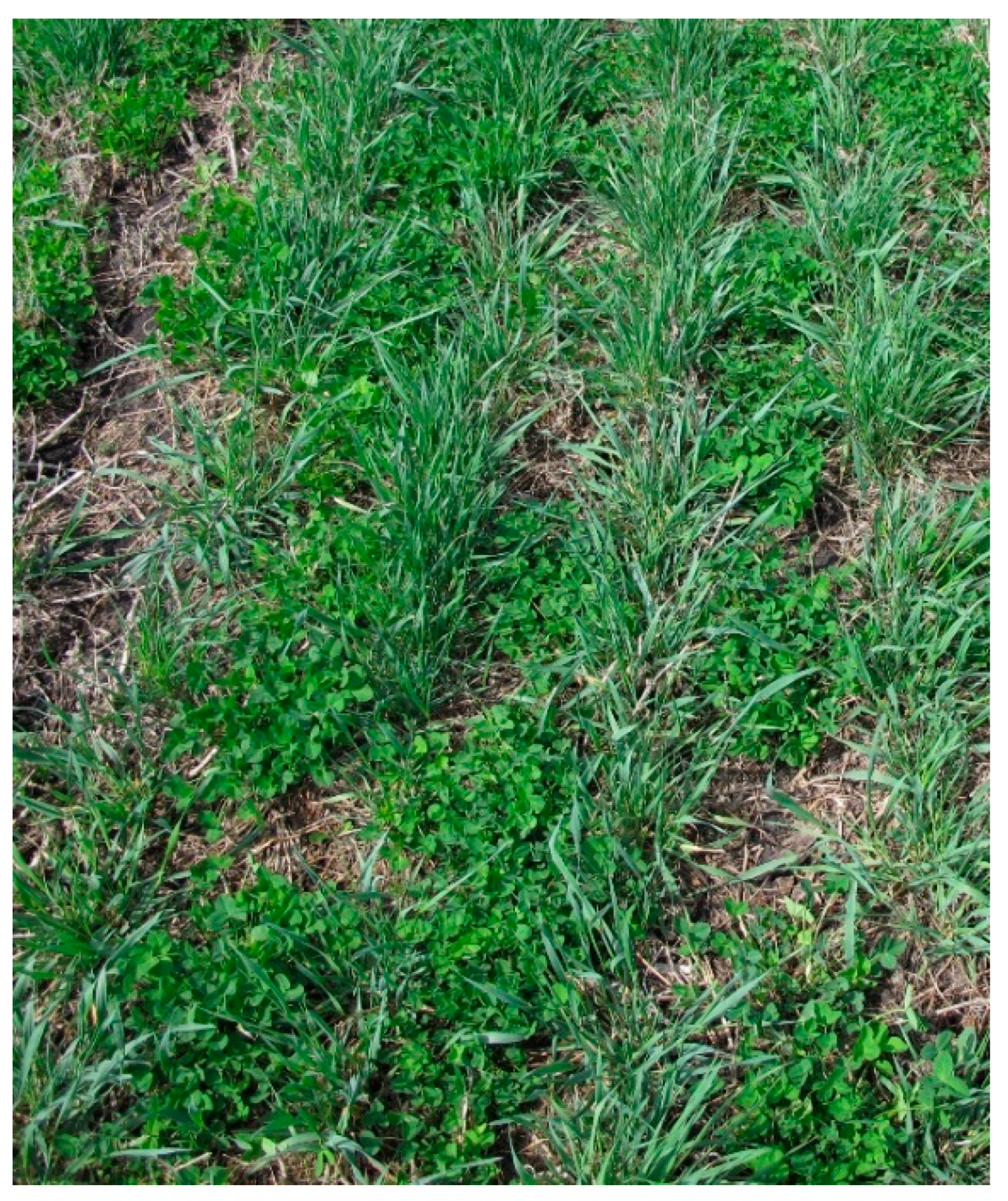 Agriculture 13 01924 g009