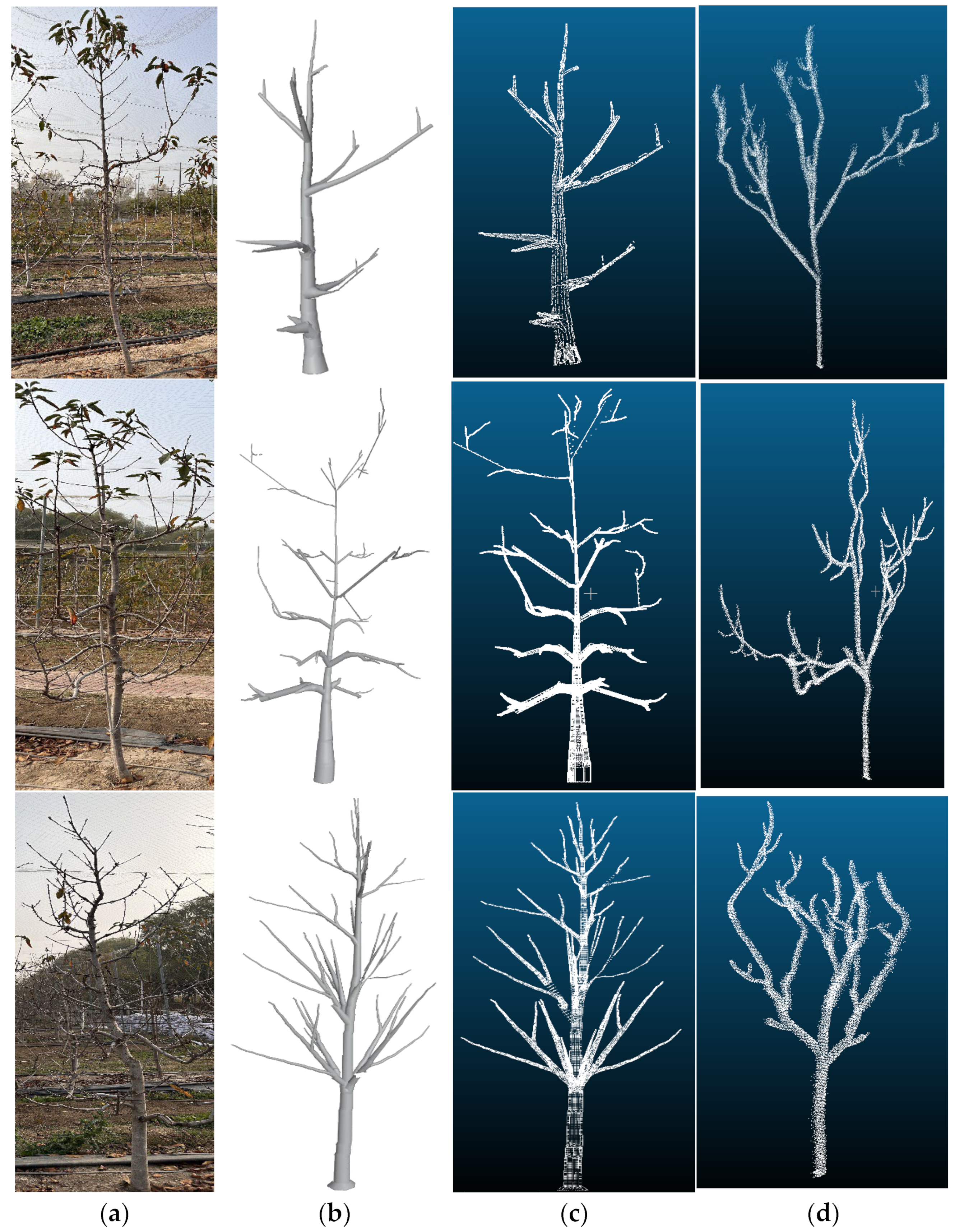 Agriengineering 06 00033 g011