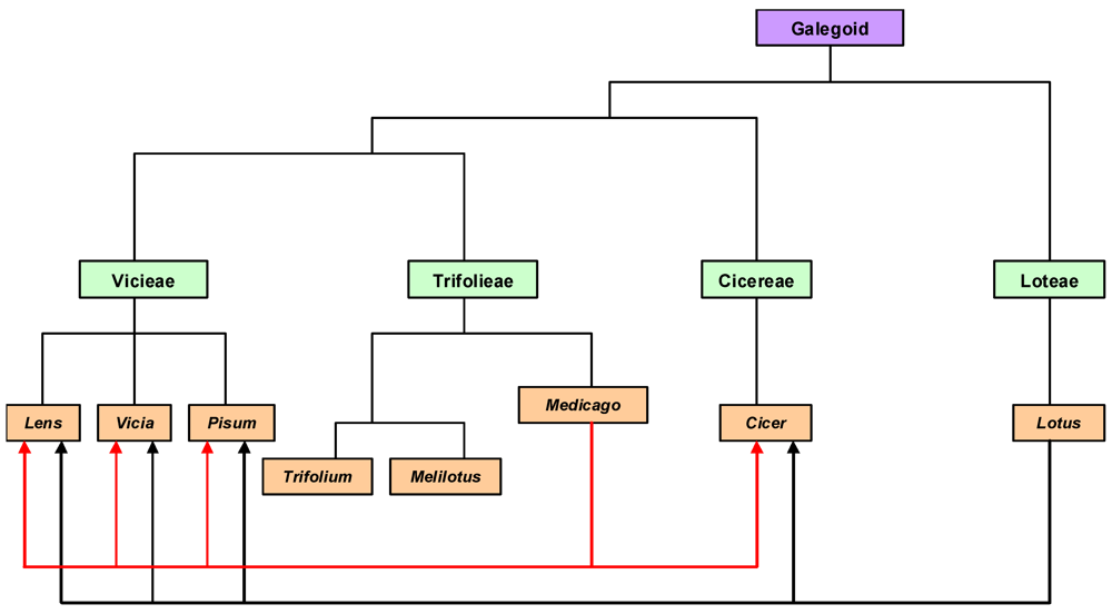 Agronomy 02 00132 g001