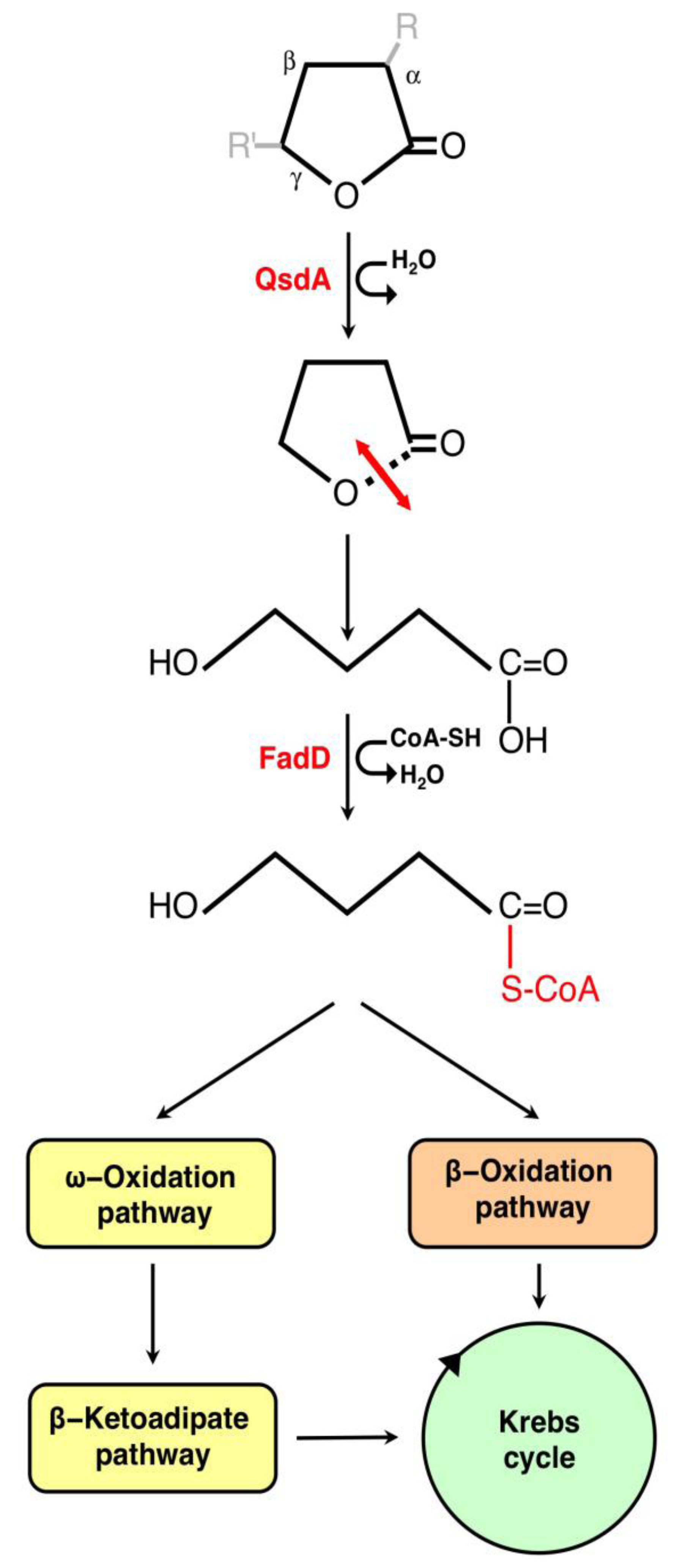 Agronomy 03 00816 g002