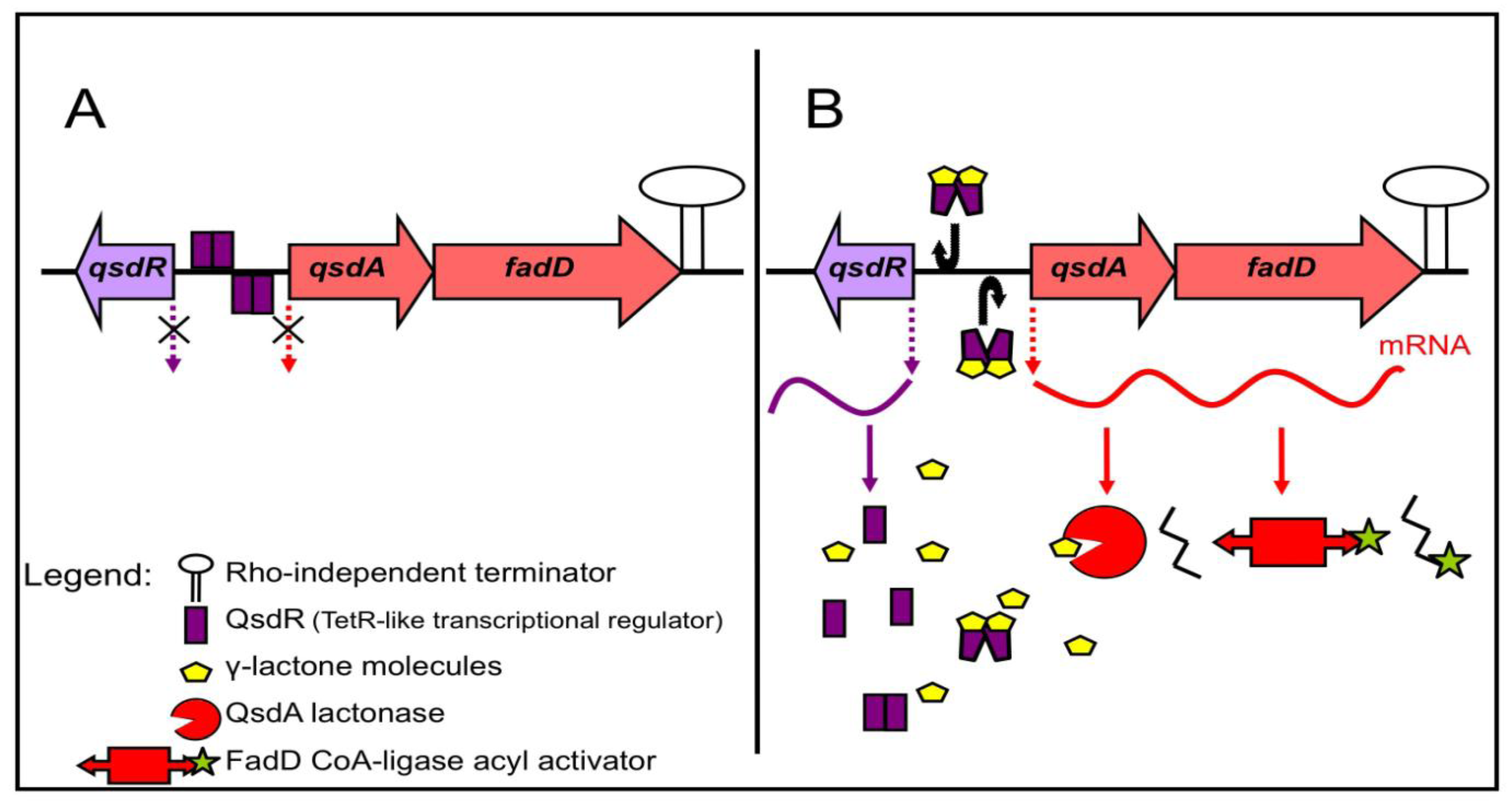 Agronomy 03 00816 g003