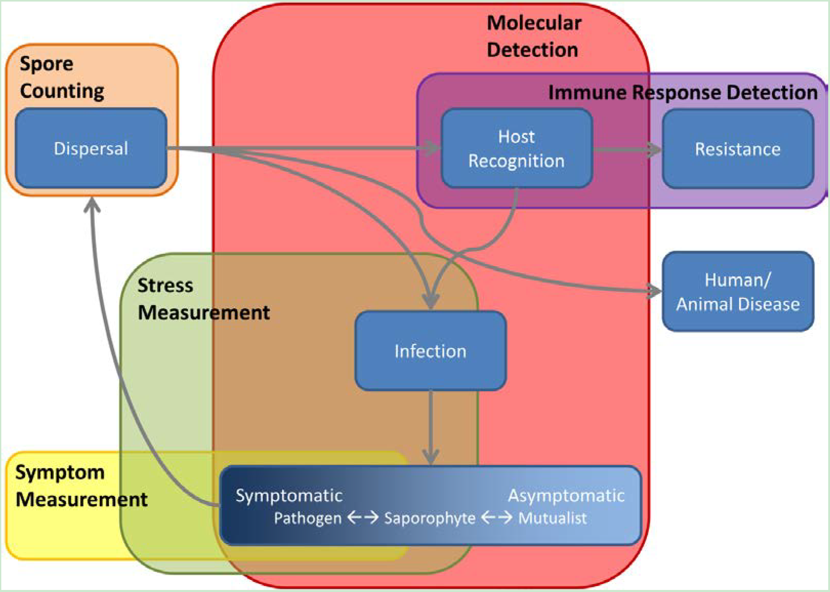 Agronomy 04 00302 g001