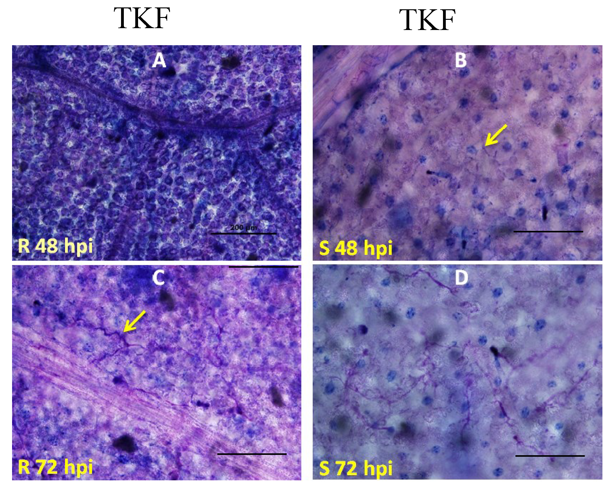 Agronomy 05 00555 g001a