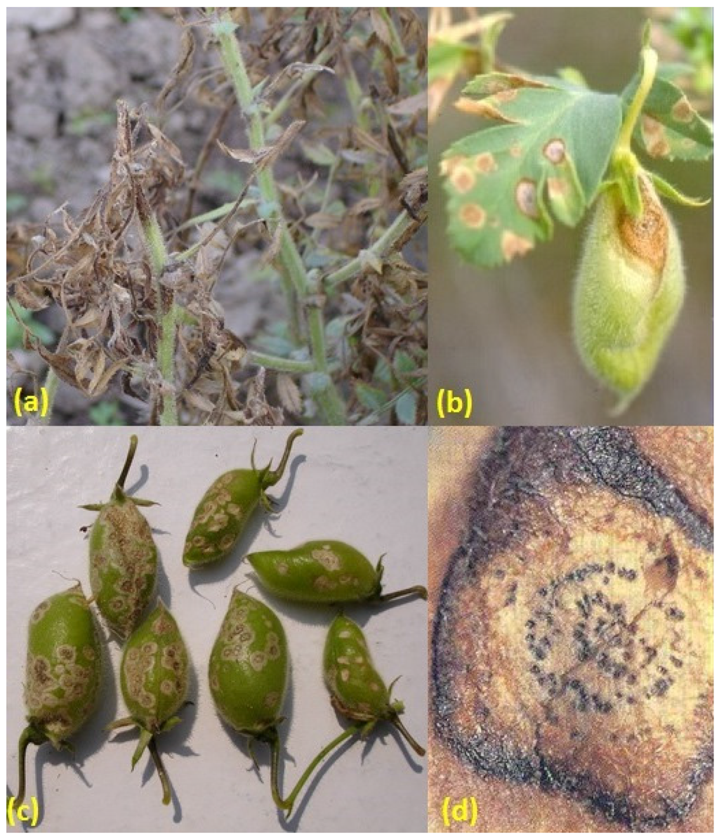 Agronomy 06 00018 g001 1024