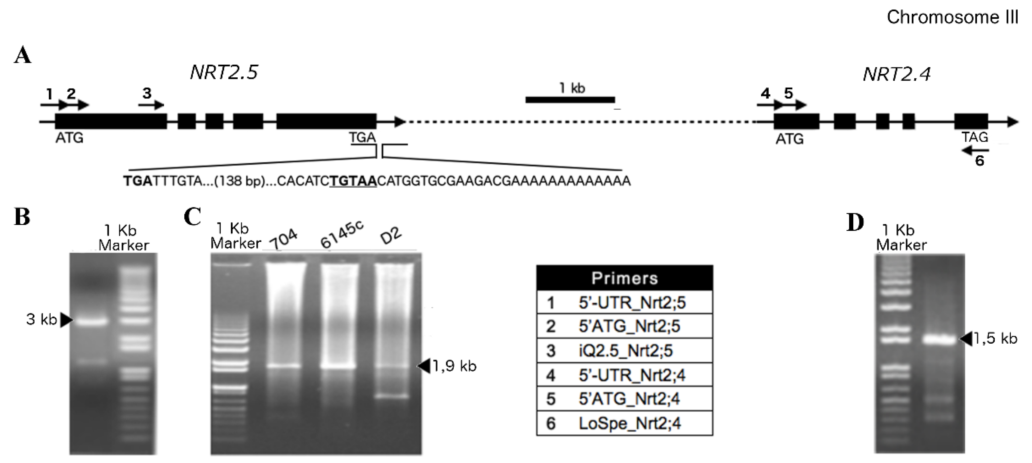 Agronomy 06 00020 g001