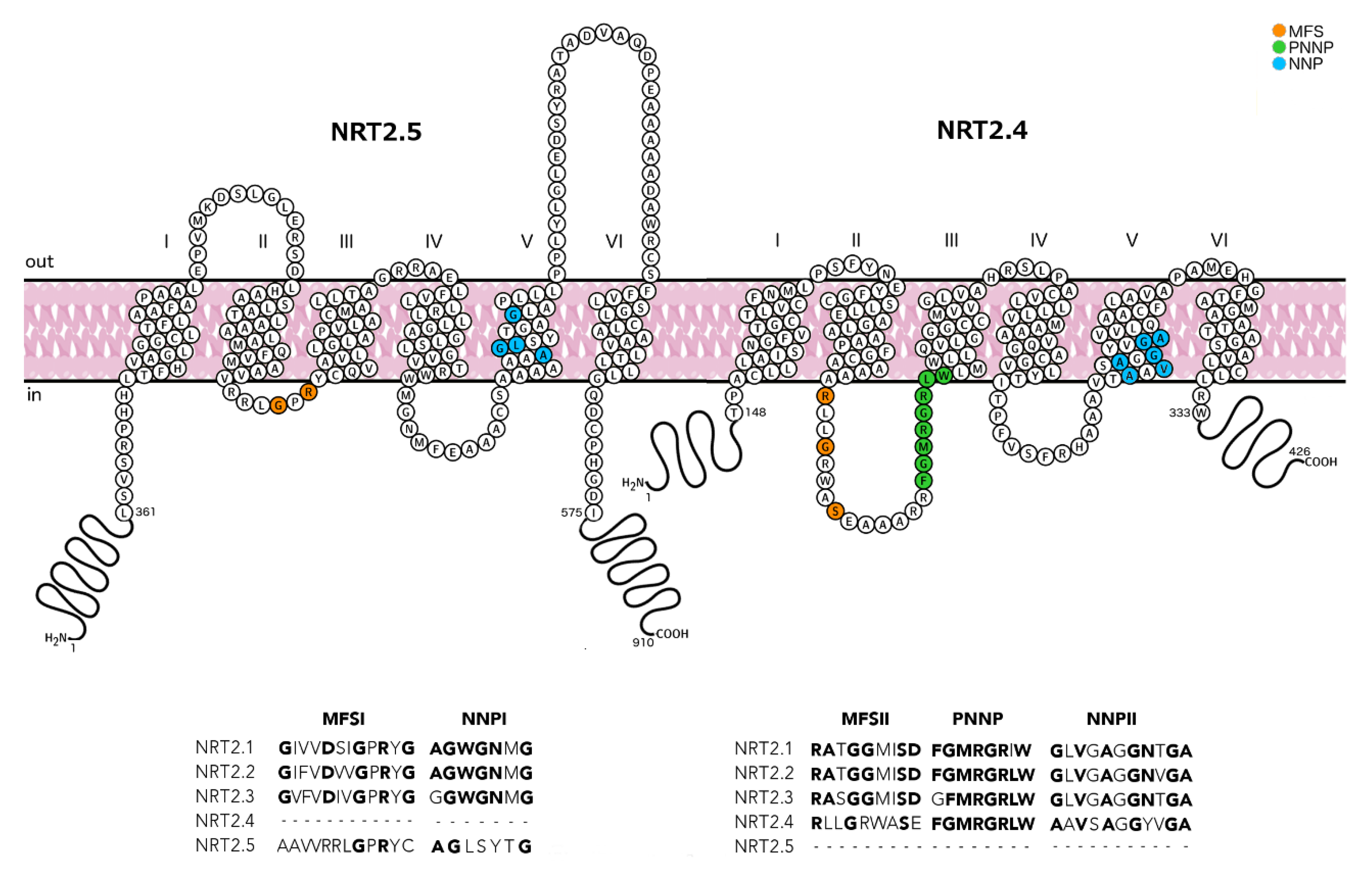 Agronomy 06 00020 g003
