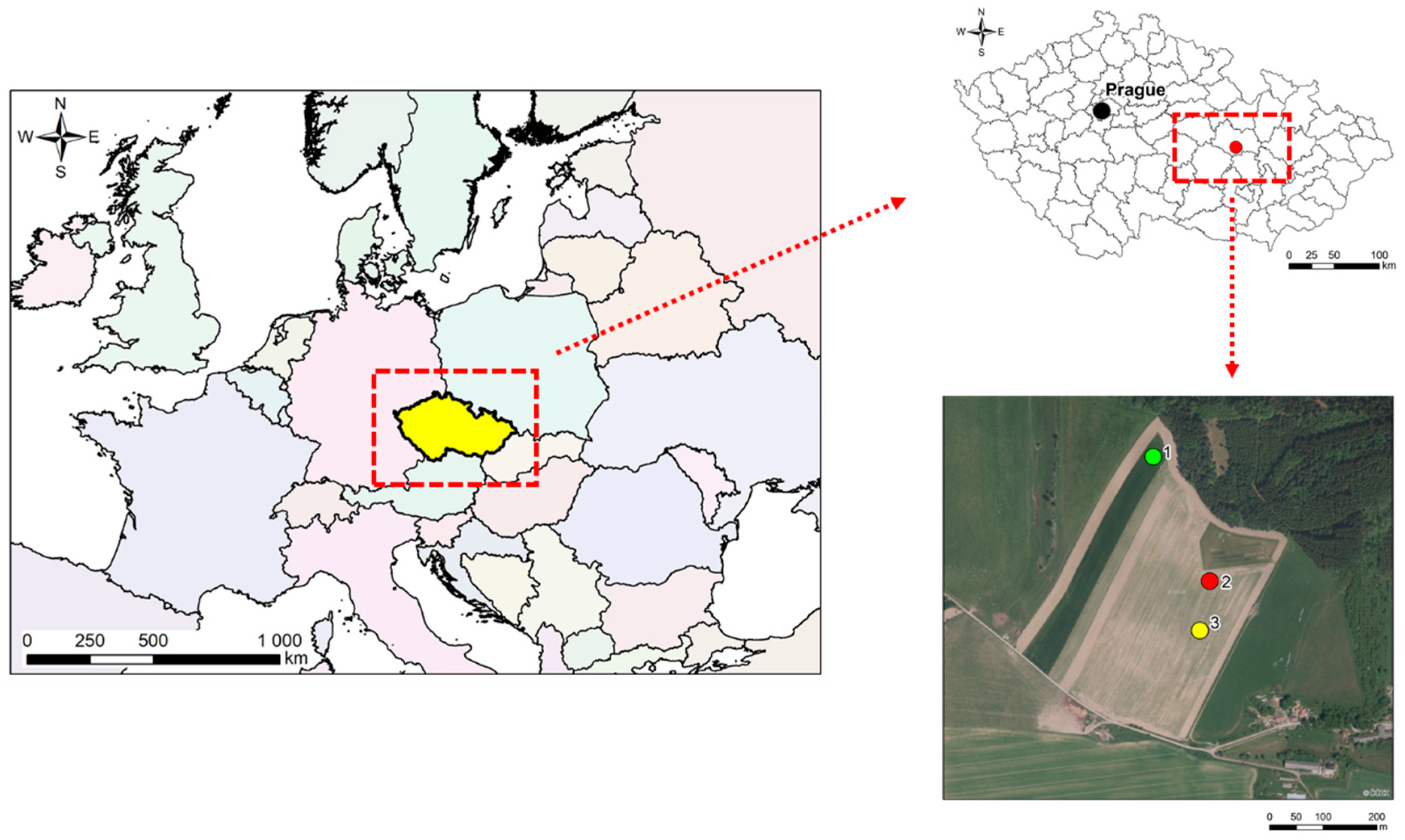 Agronomy 09 00485 g001