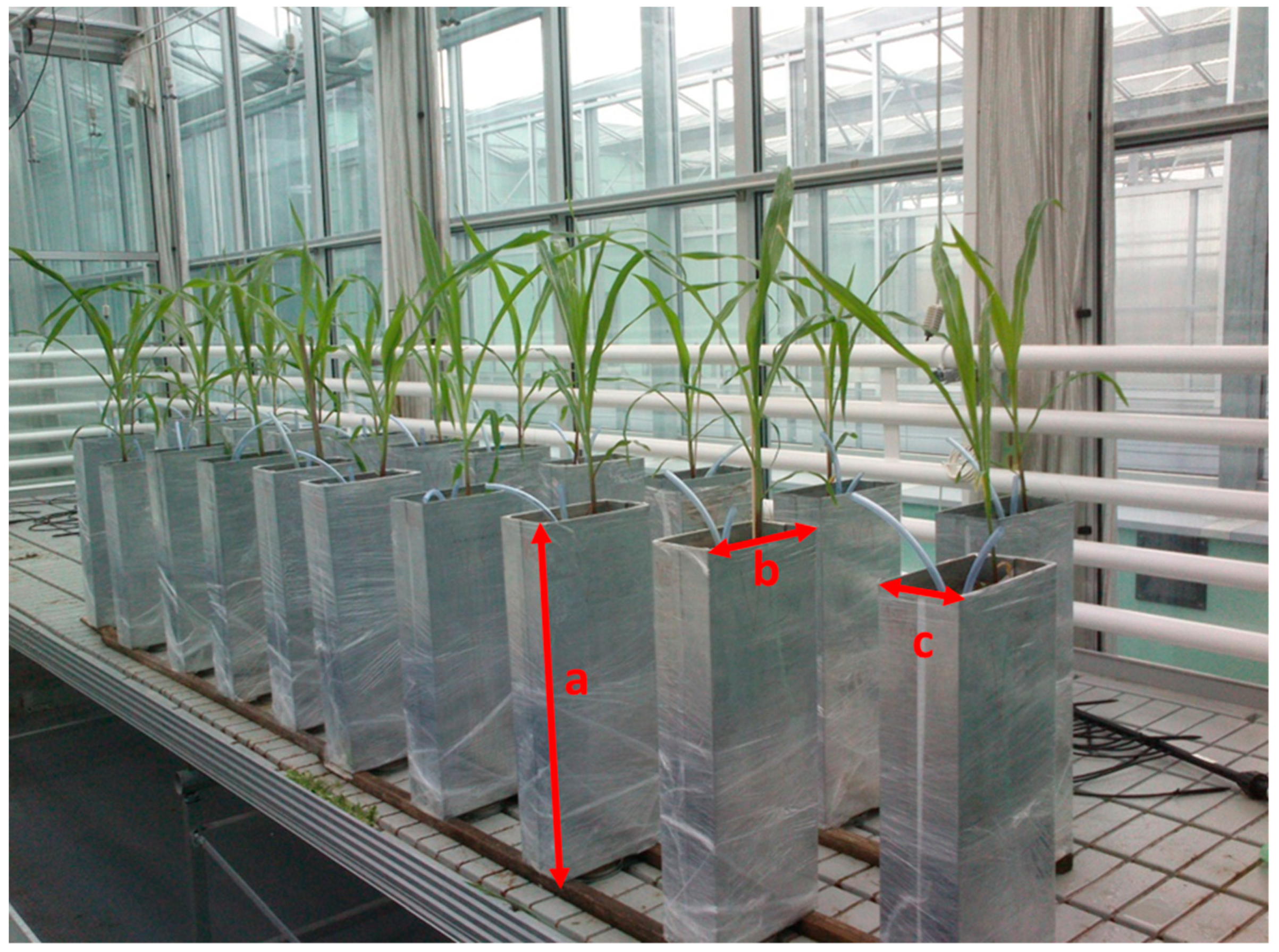 Agronomy 09 00485 g0a1