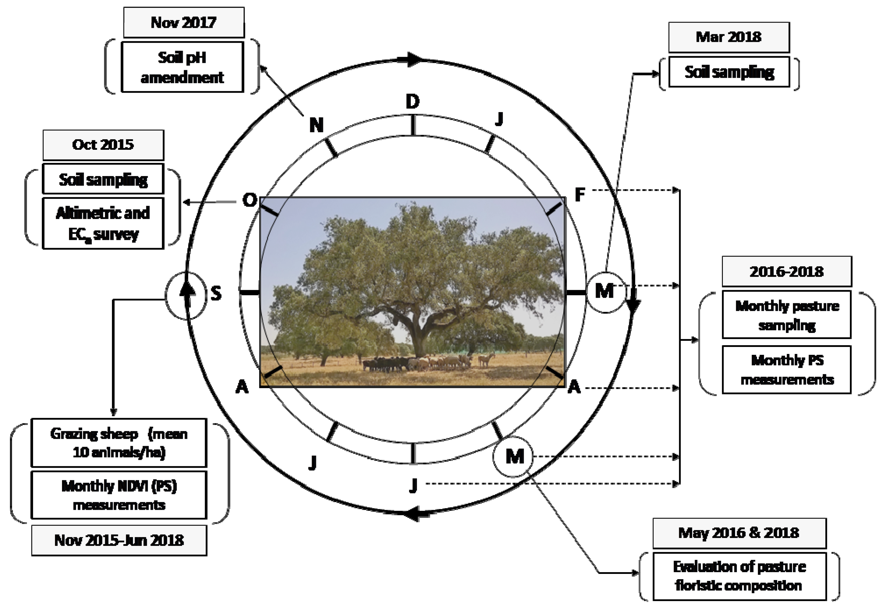 Agronomy 10 00218 g001
