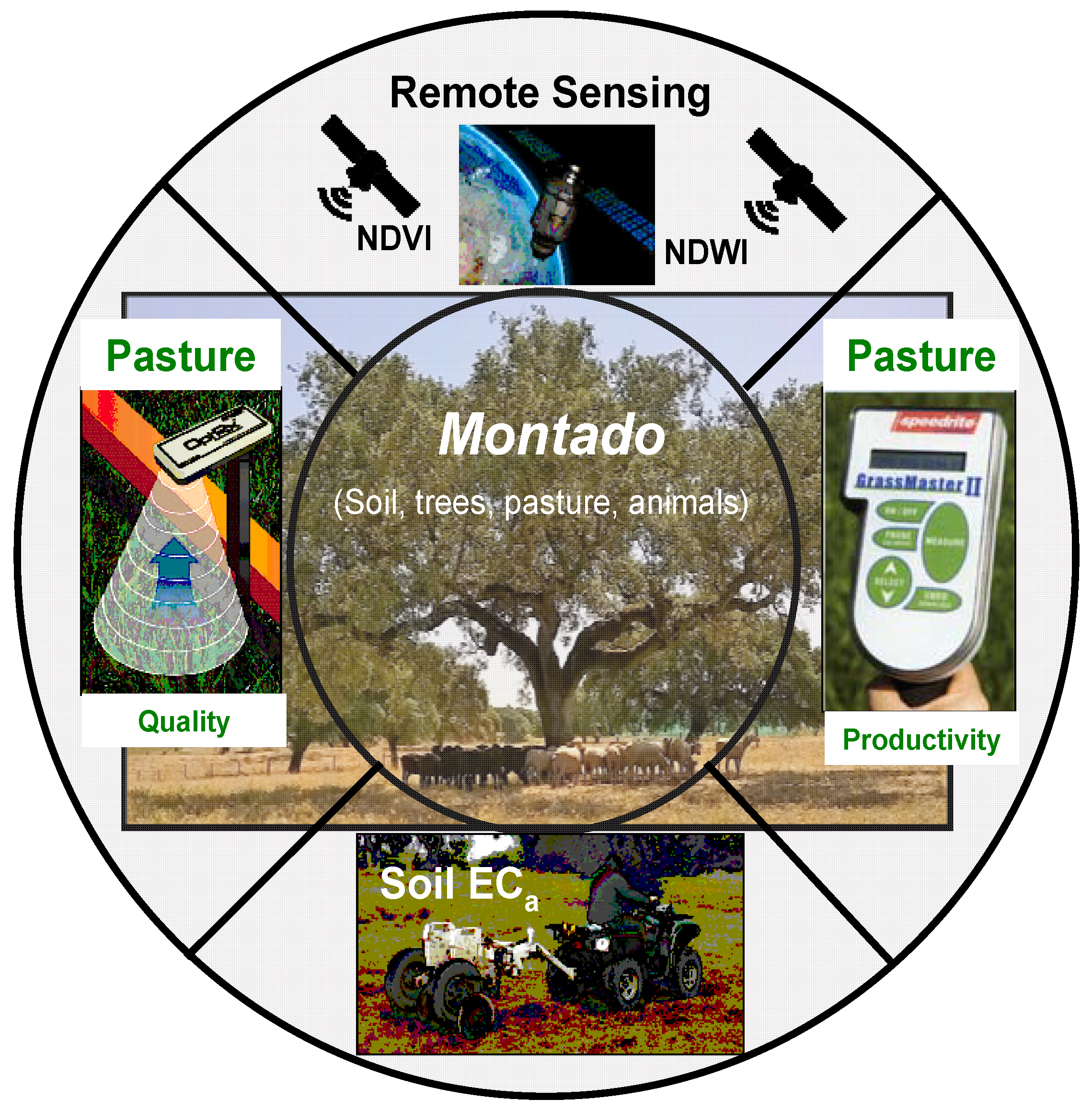 Agronomy 10 00218 g013