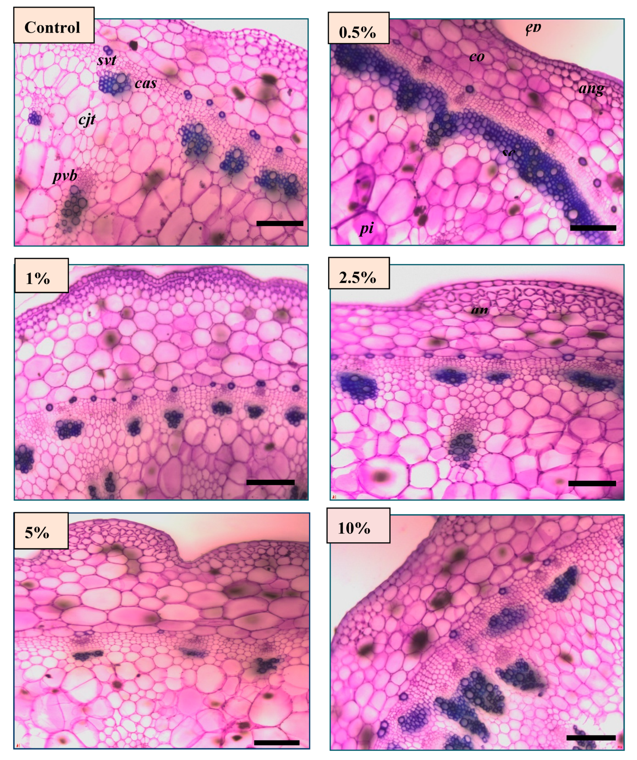 Agronomy 10 00247 g005