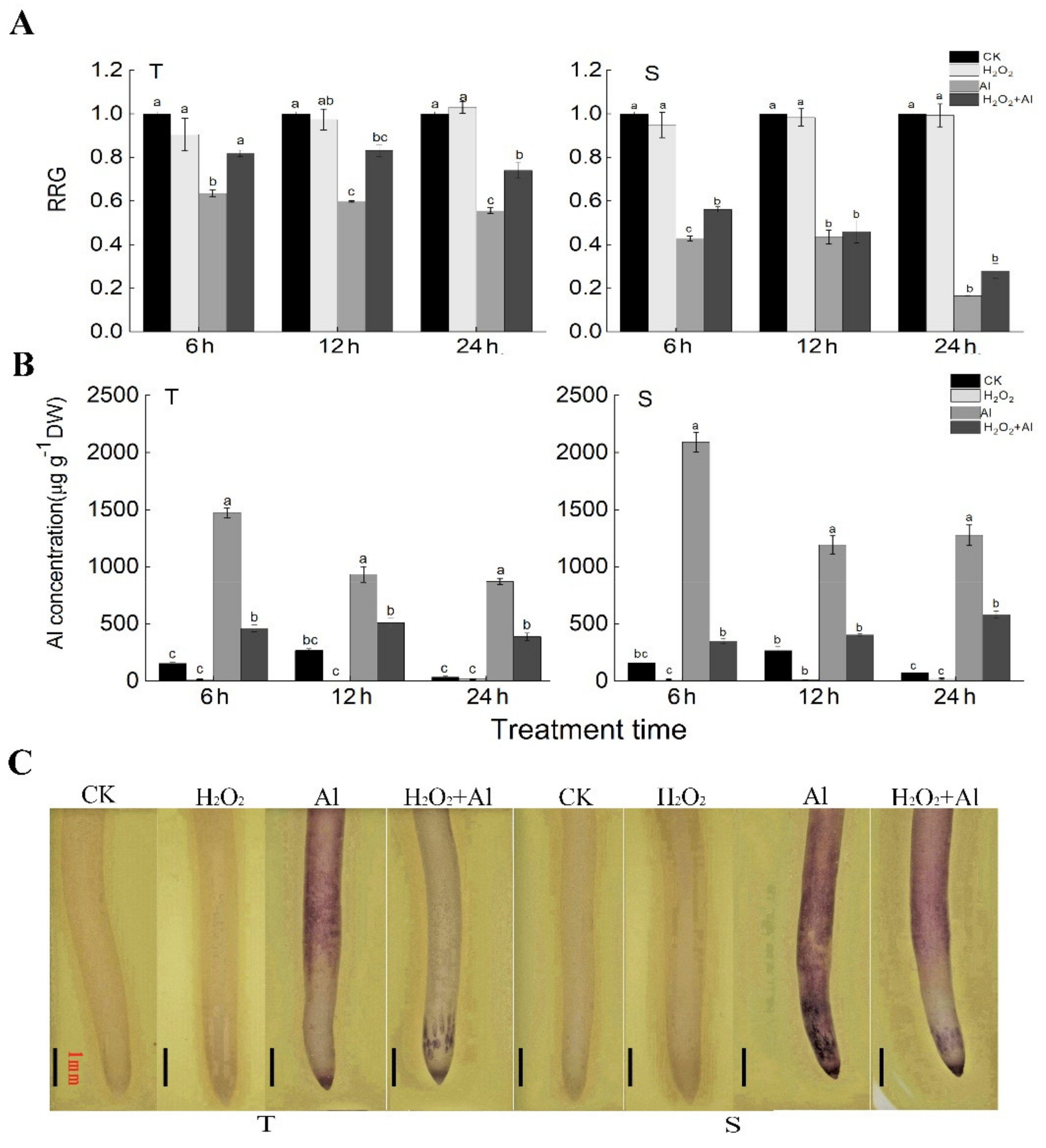 Agronomy 11 00670 g005