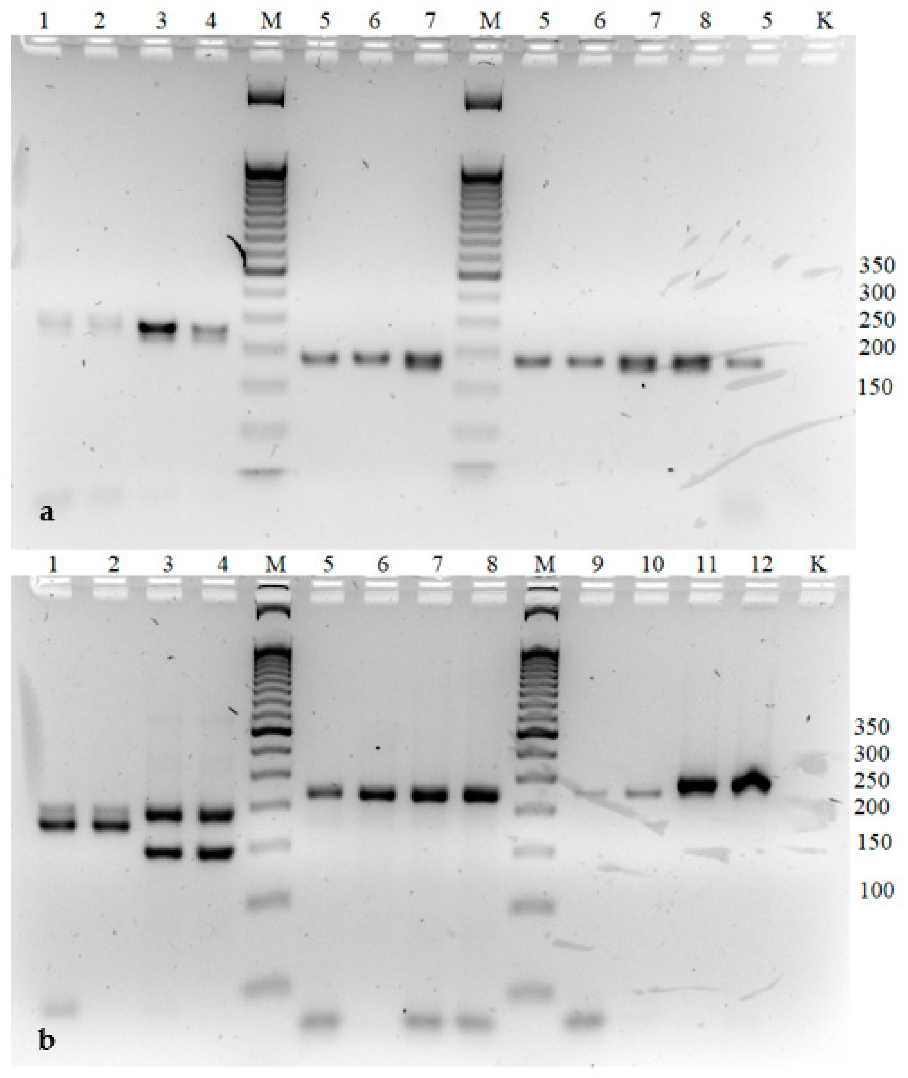 Agronomy 11 01417 g005