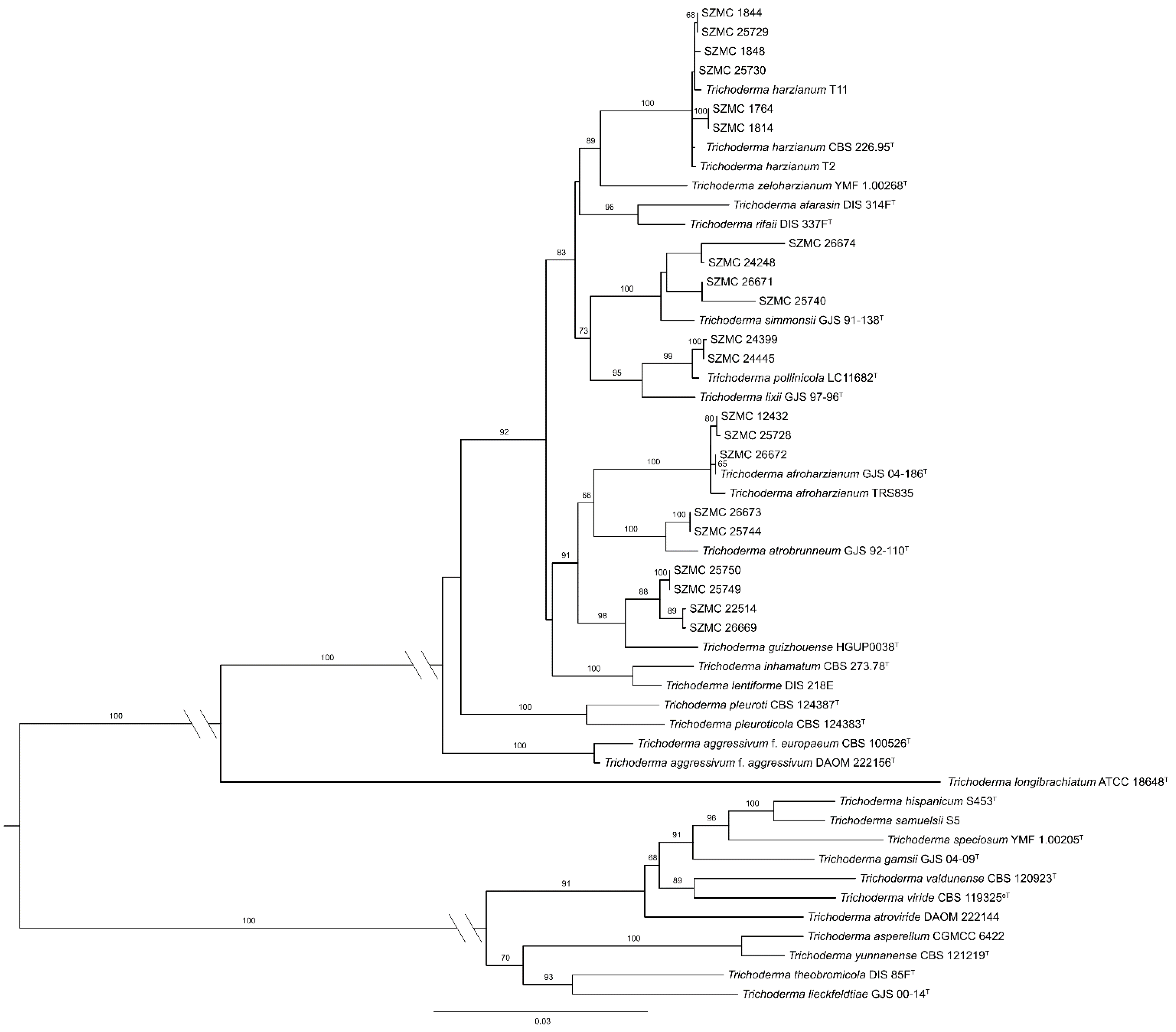 Agronomy 11 02434 g001