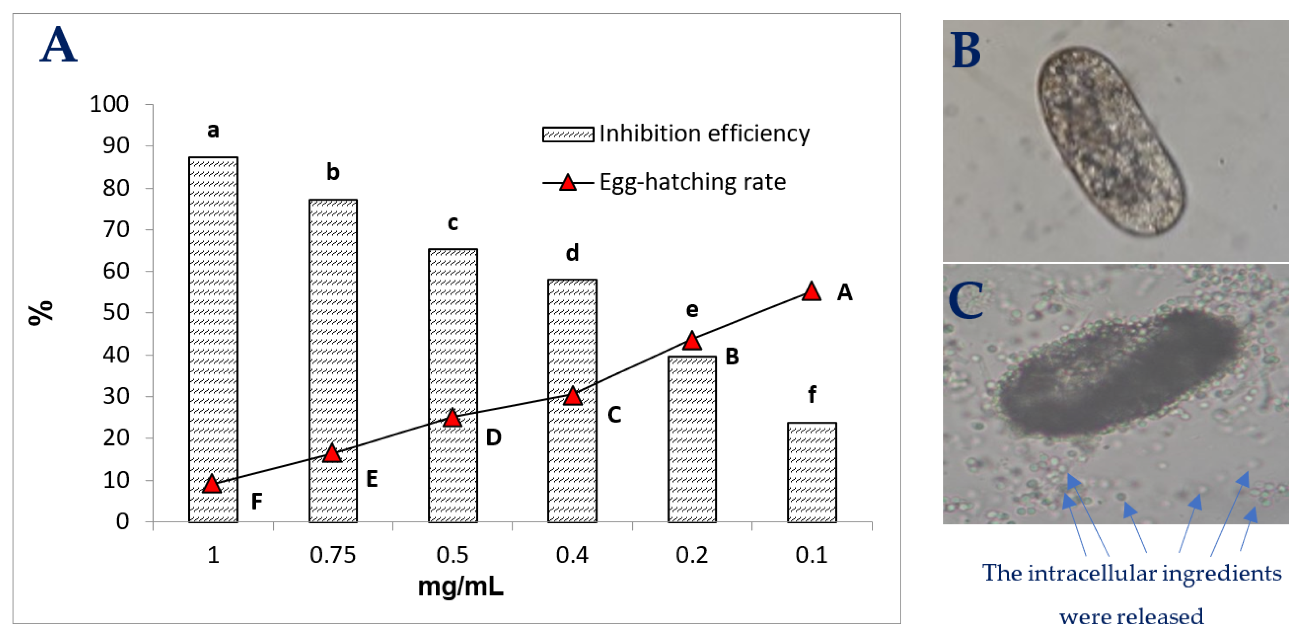 Agronomy 12 00041 g008