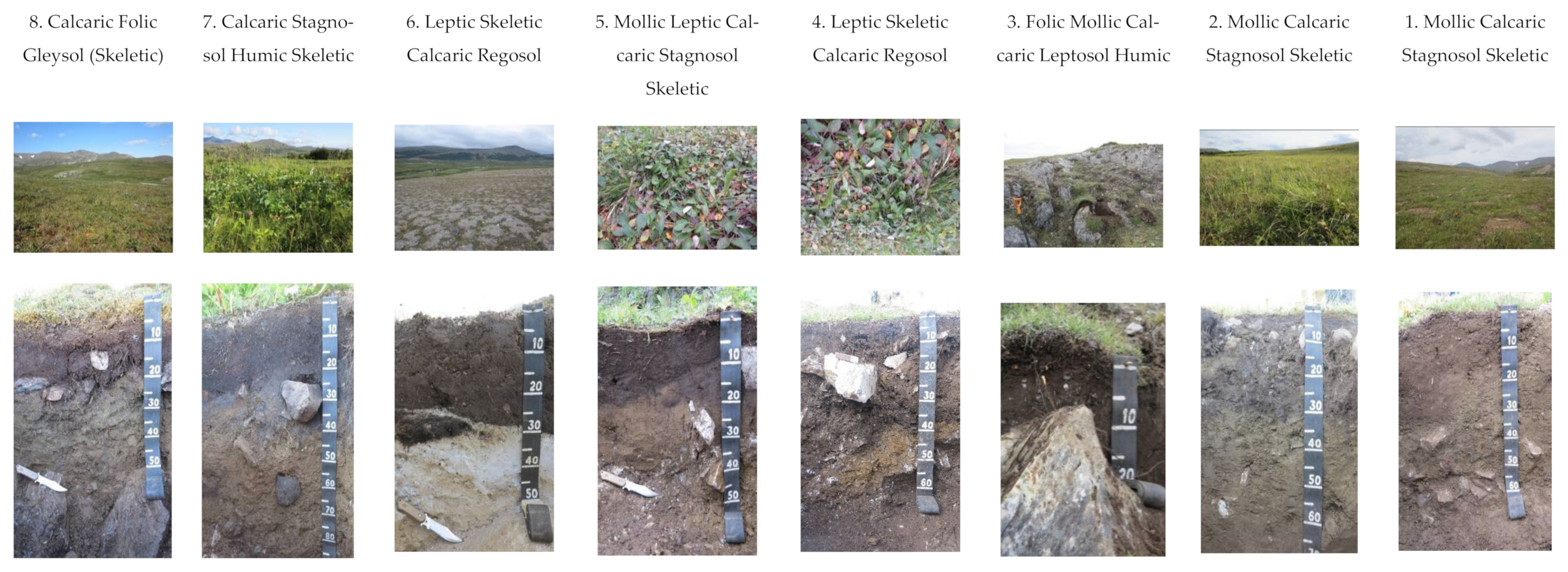 Agronomy 12 00372 g001