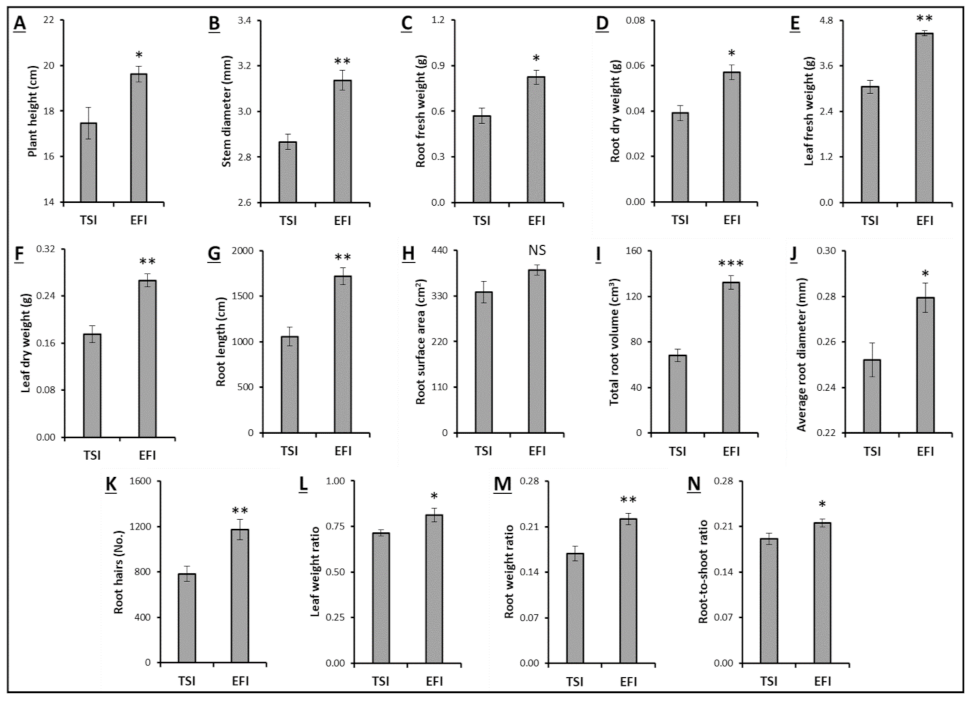 Agronomy 12 00494 g002