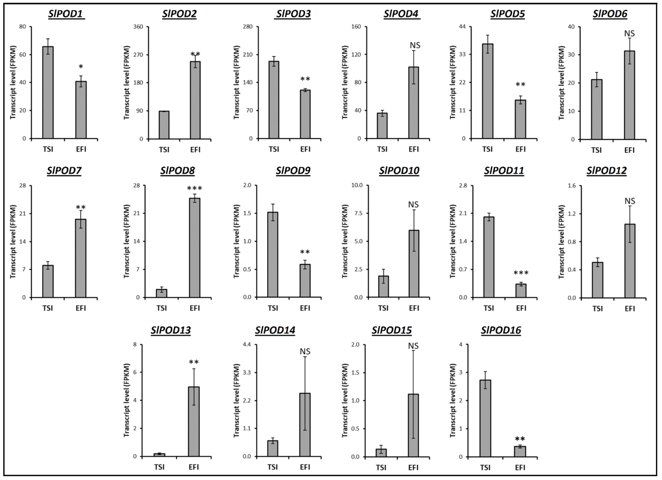 Agronomy 12 00494 g006