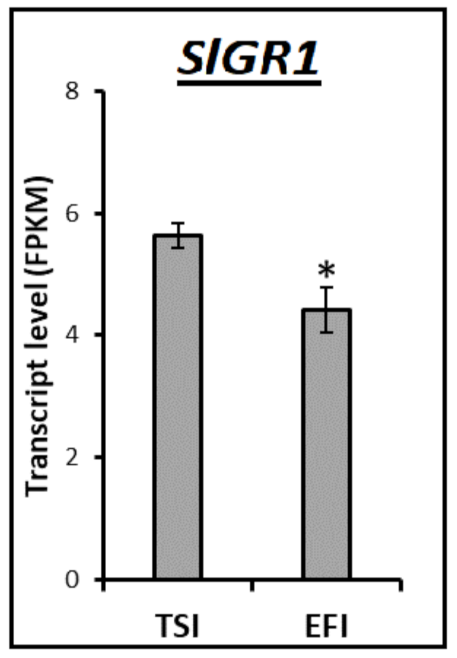 Agronomy 12 00494 g008