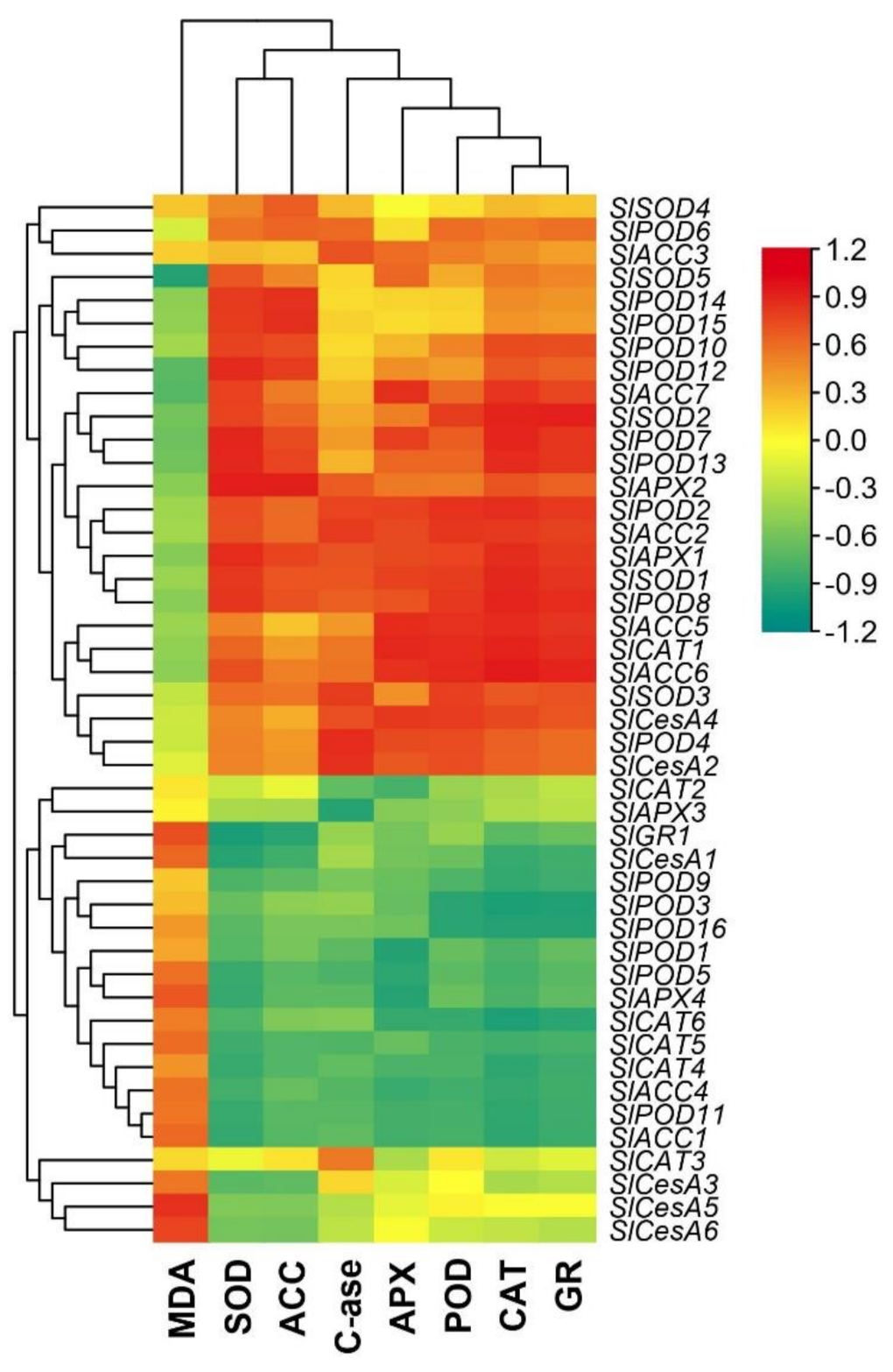 Agronomy 12 00494 g012