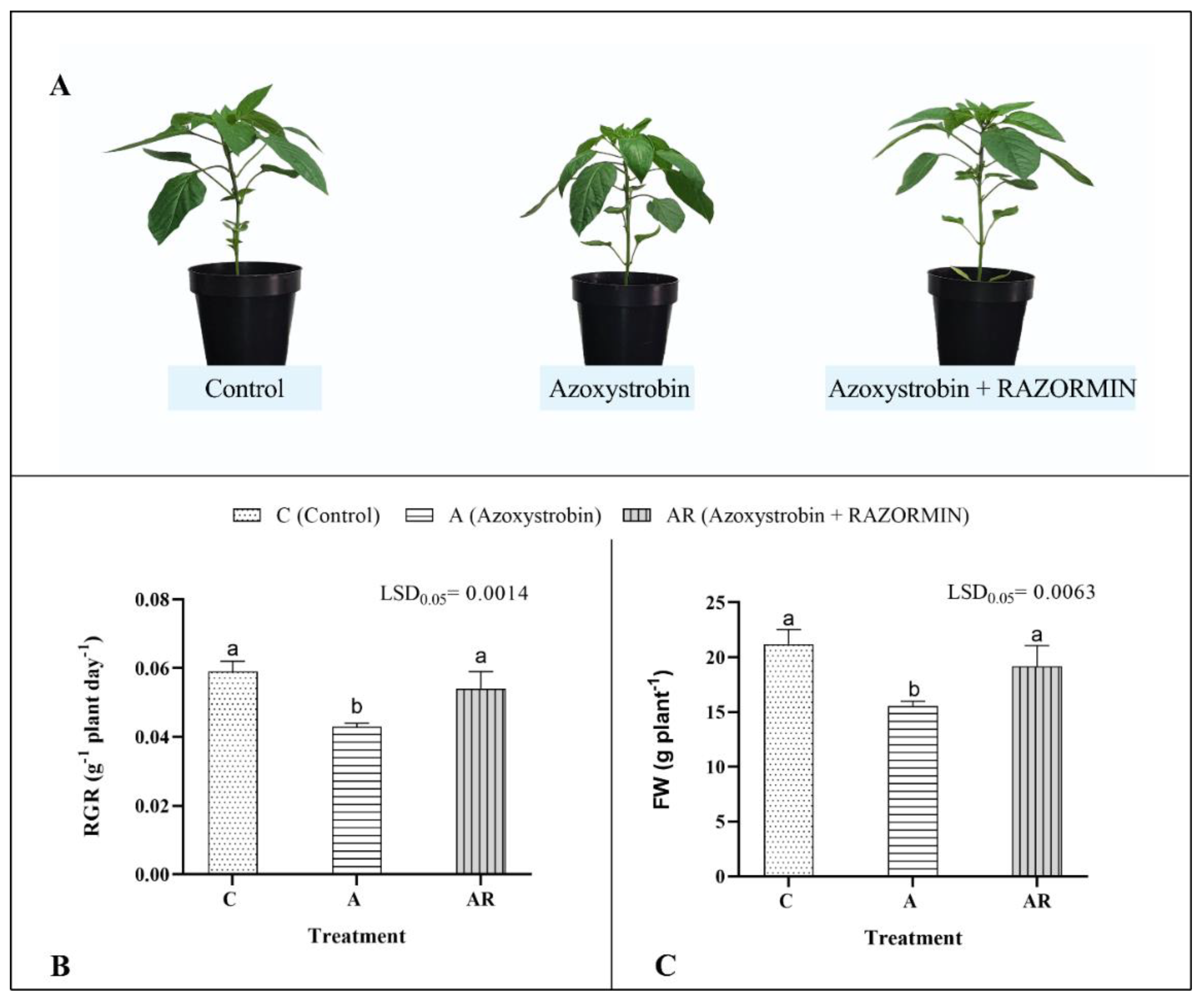 Agronomy 12 01418 g002