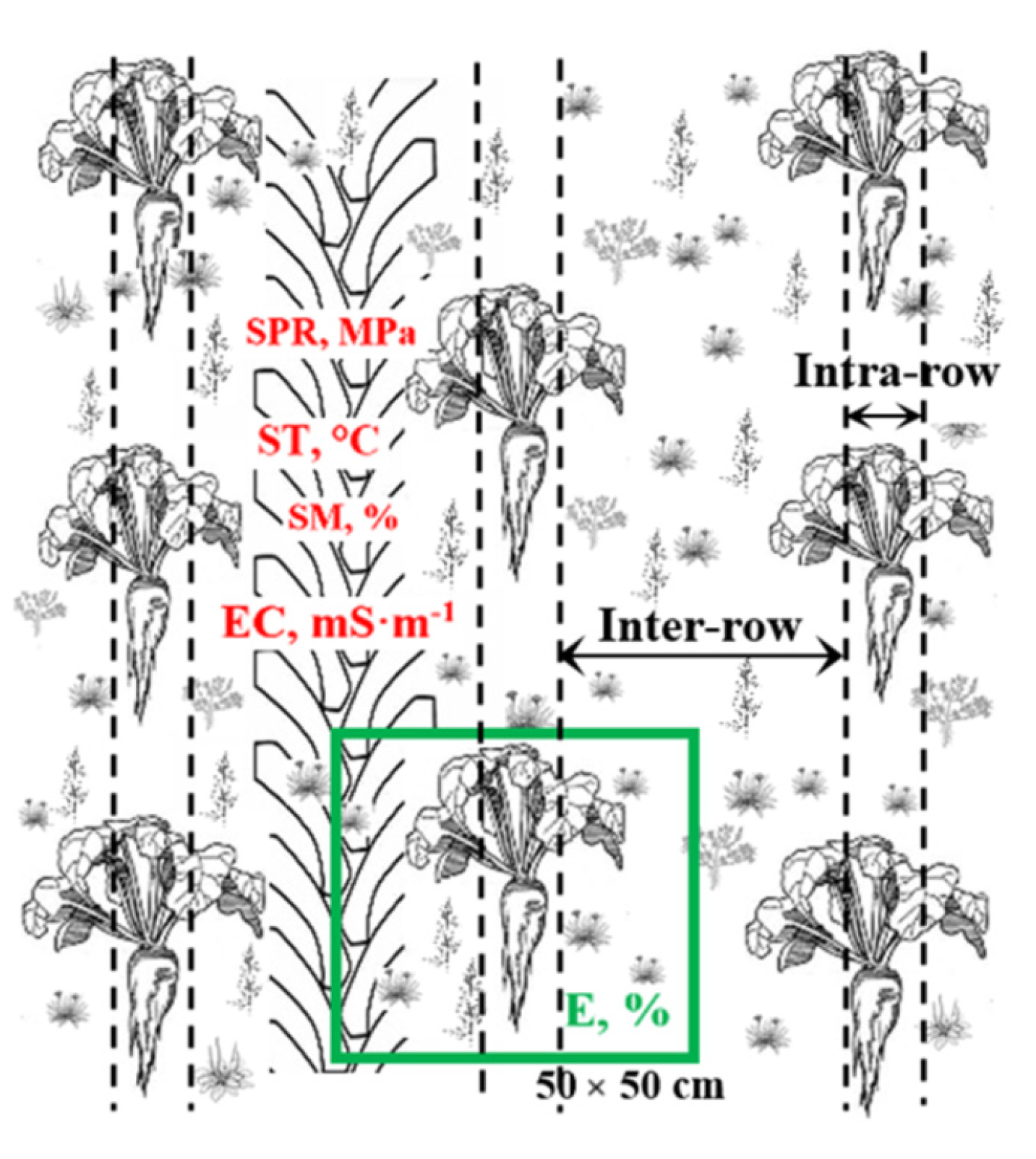 Agronomy 12 01514 g002