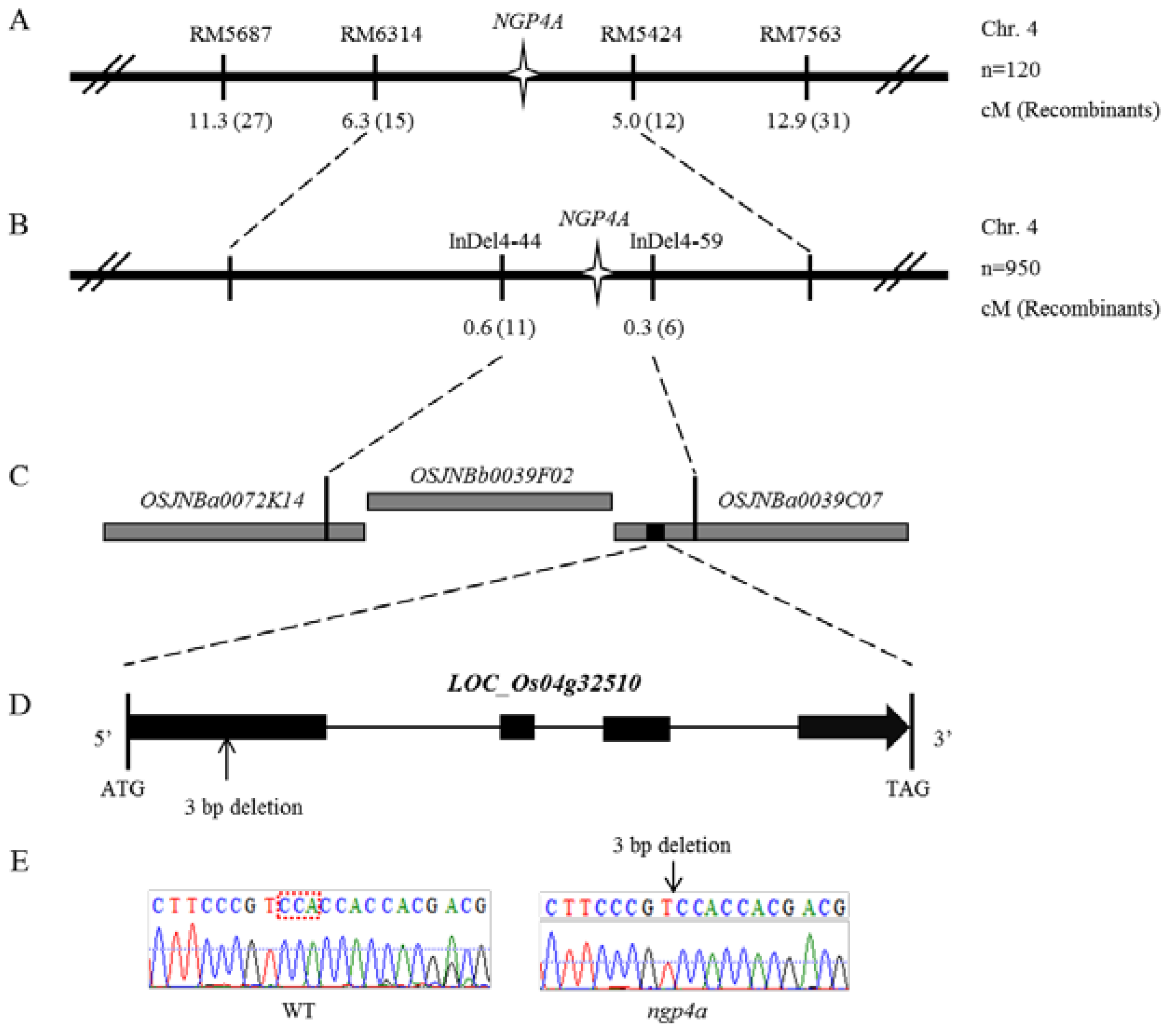 Agronomy 12 01549 g002