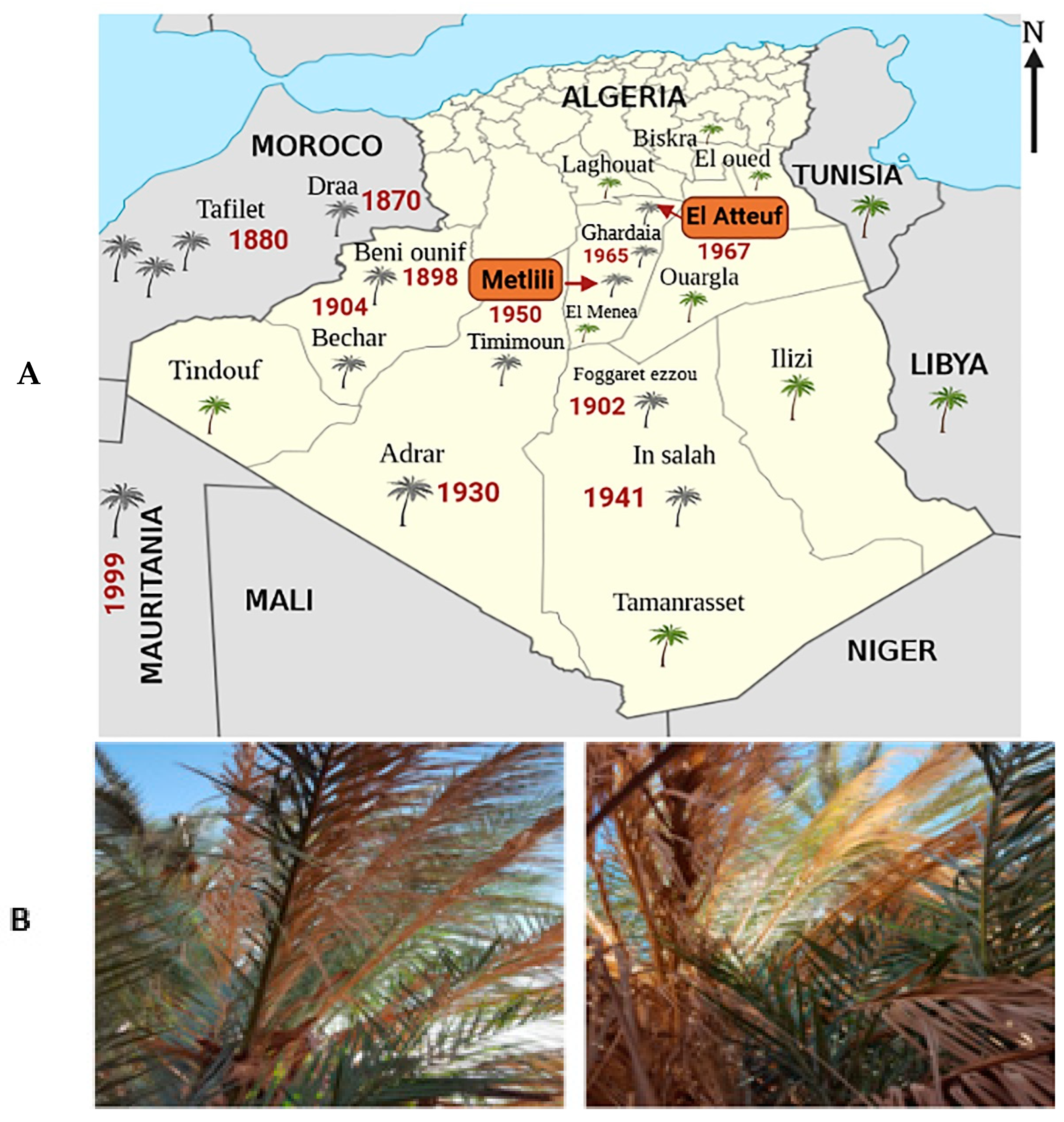 Agronomy 12 02403 g001