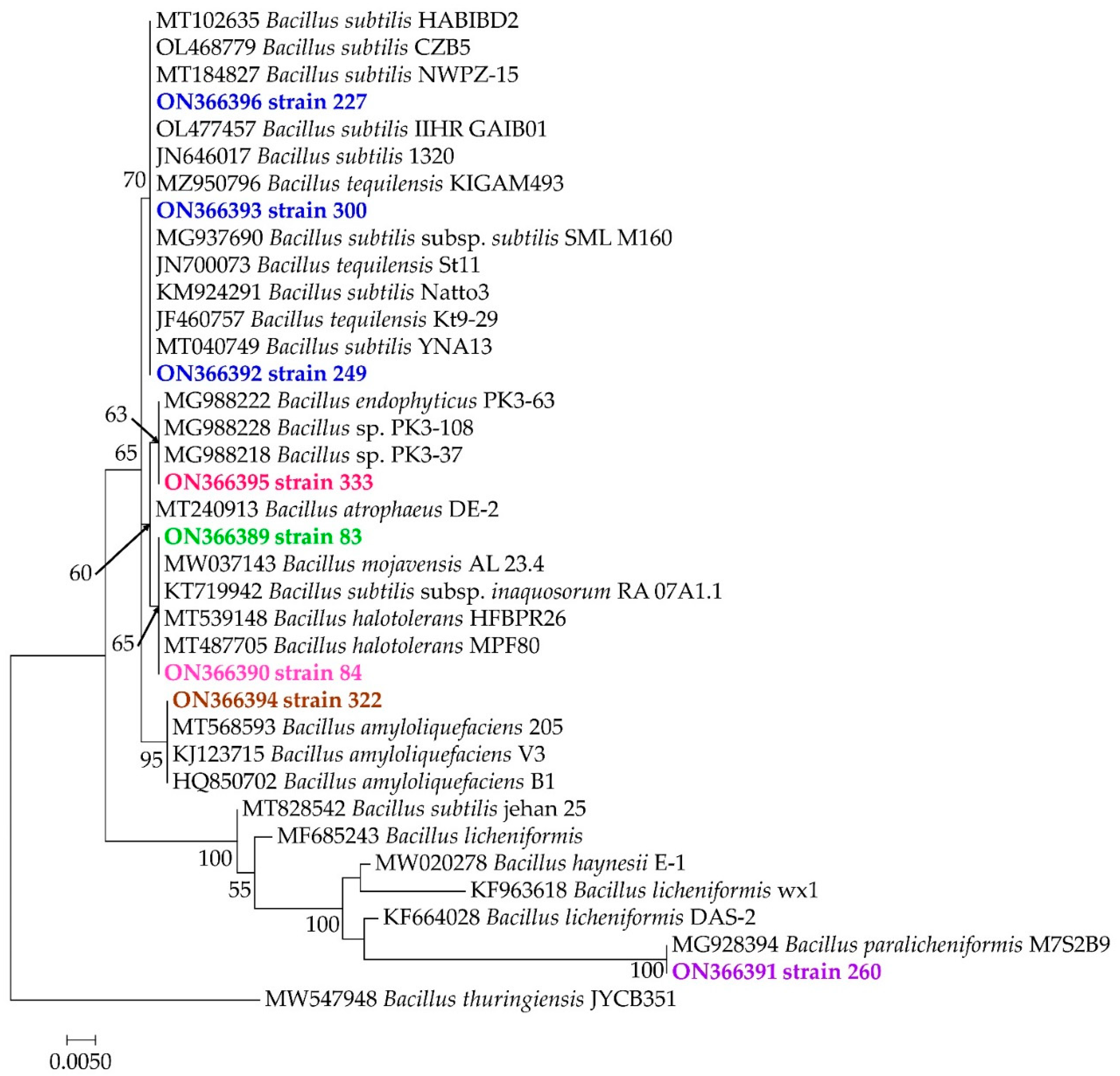Agronomy 12 02403 g005