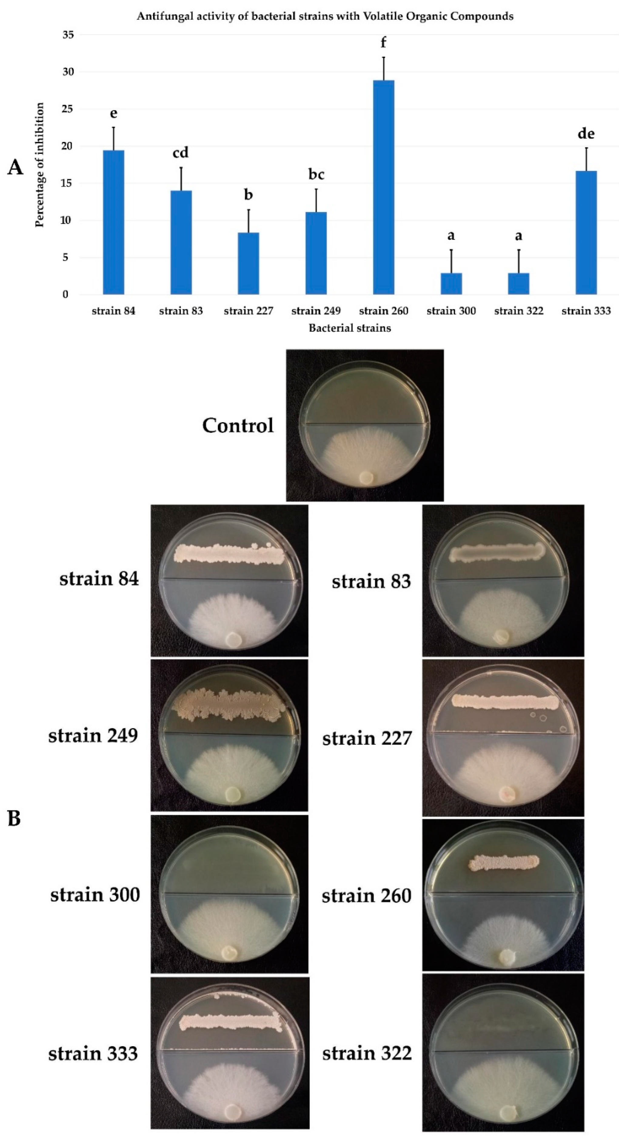 Agronomy 12 02403 g008