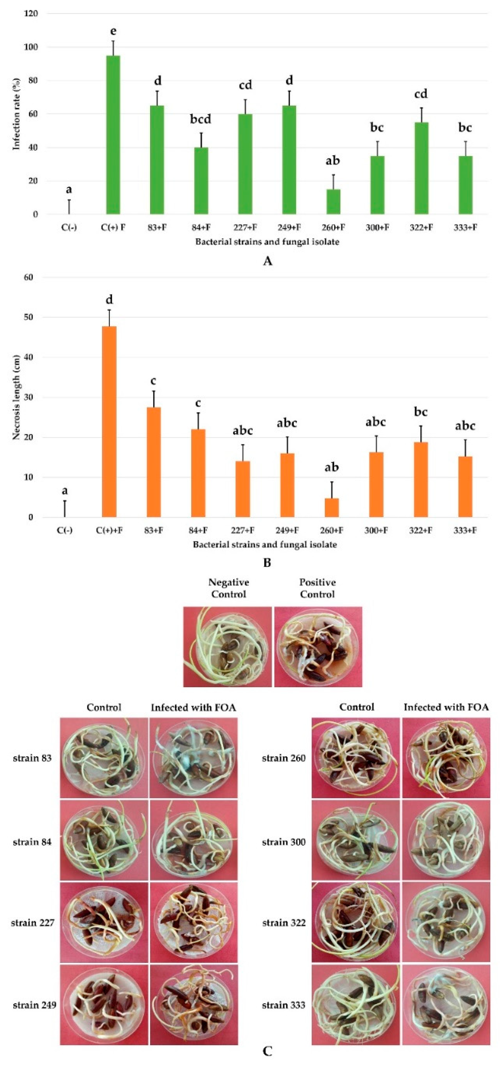 Agronomy 12 02403 g009