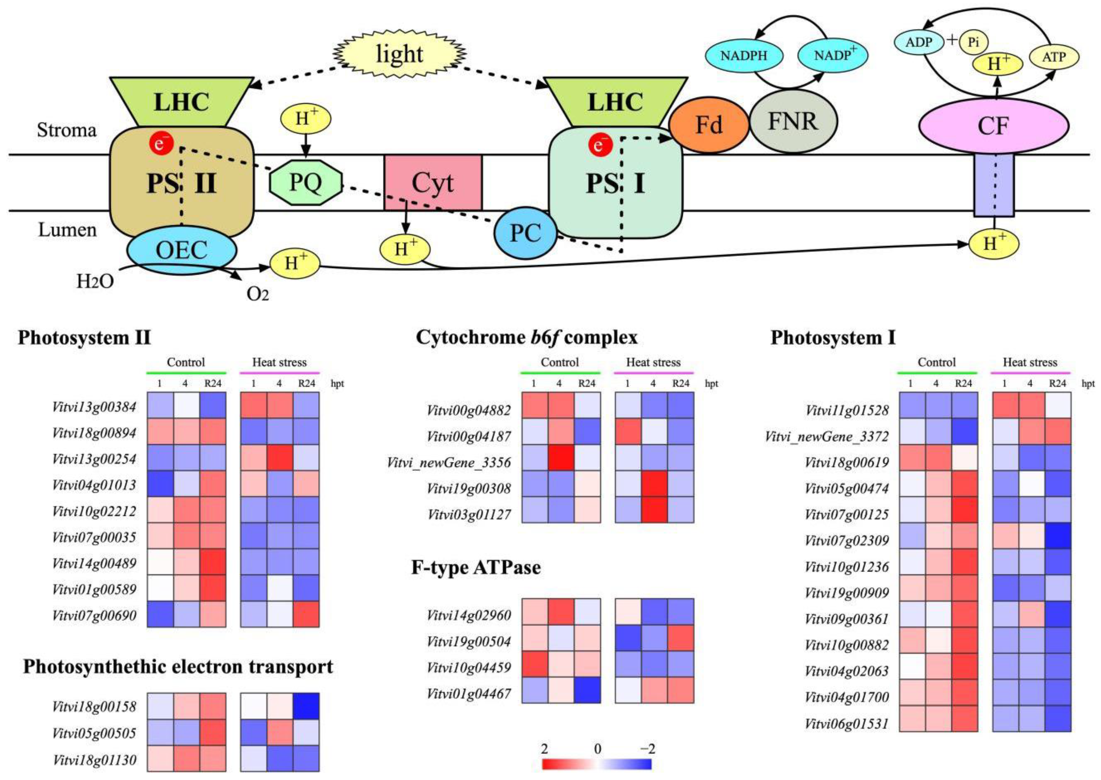 Agronomy 12 02591 g005